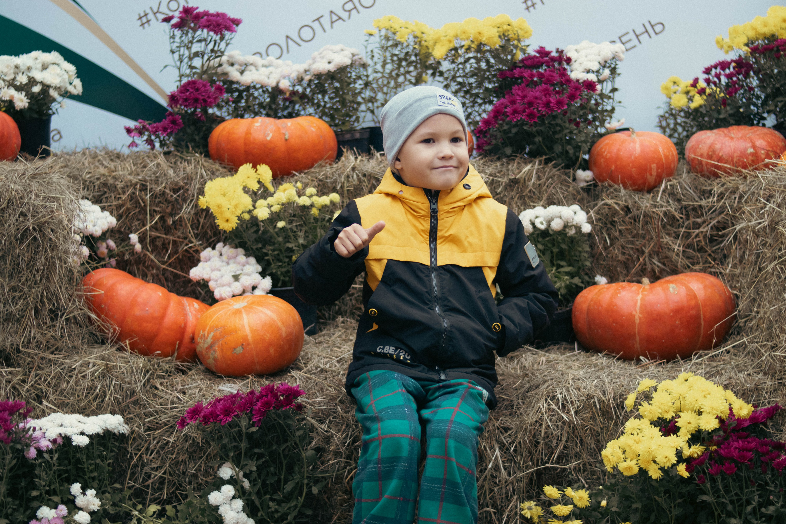 Фестиваль ЗОЛОТАЯ ОСЕНЬ. Фотограф Анна Шумакова