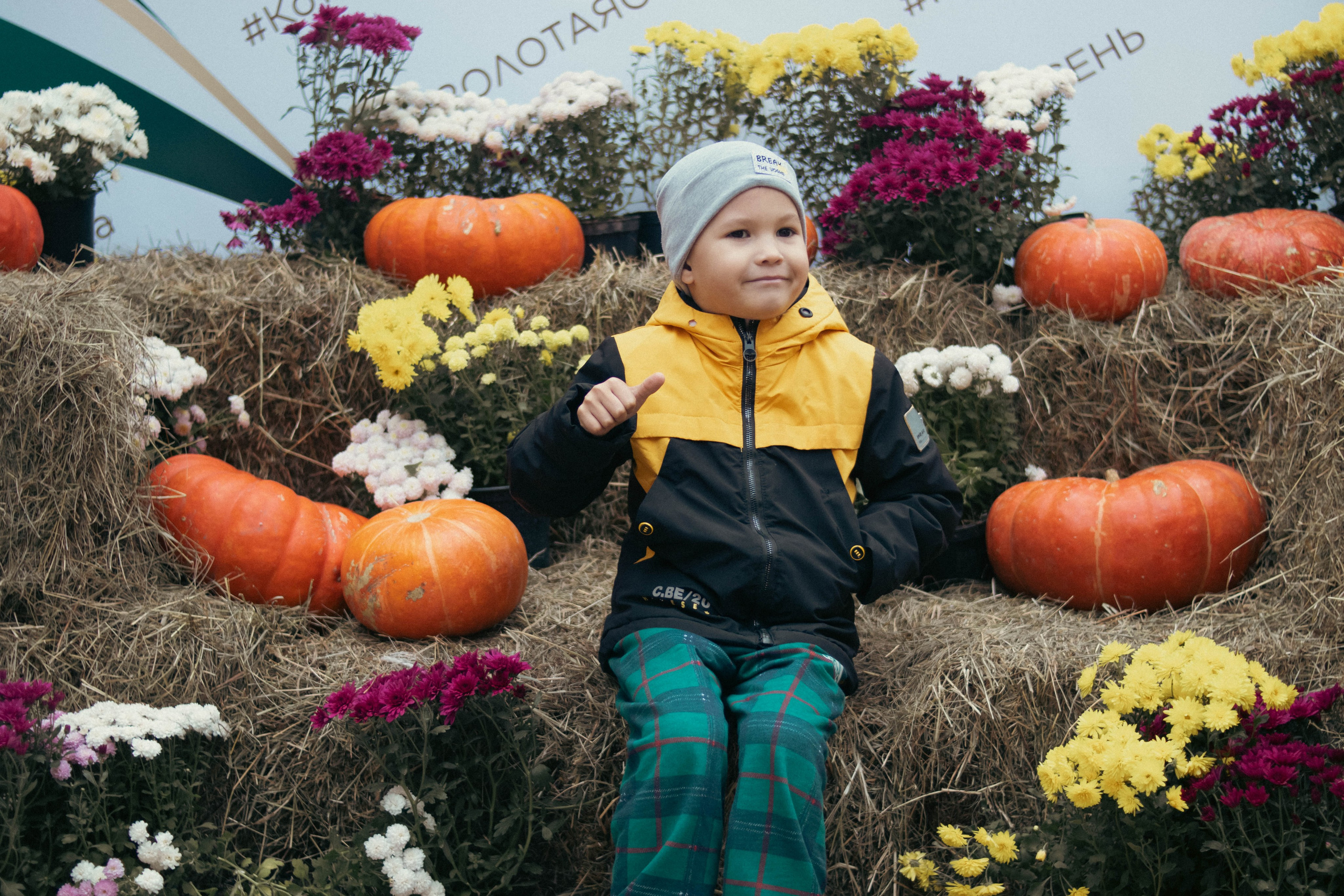 Фестиваль ЗОЛОТАЯ ОСЕНЬ. Фотограф Анна Шумакова