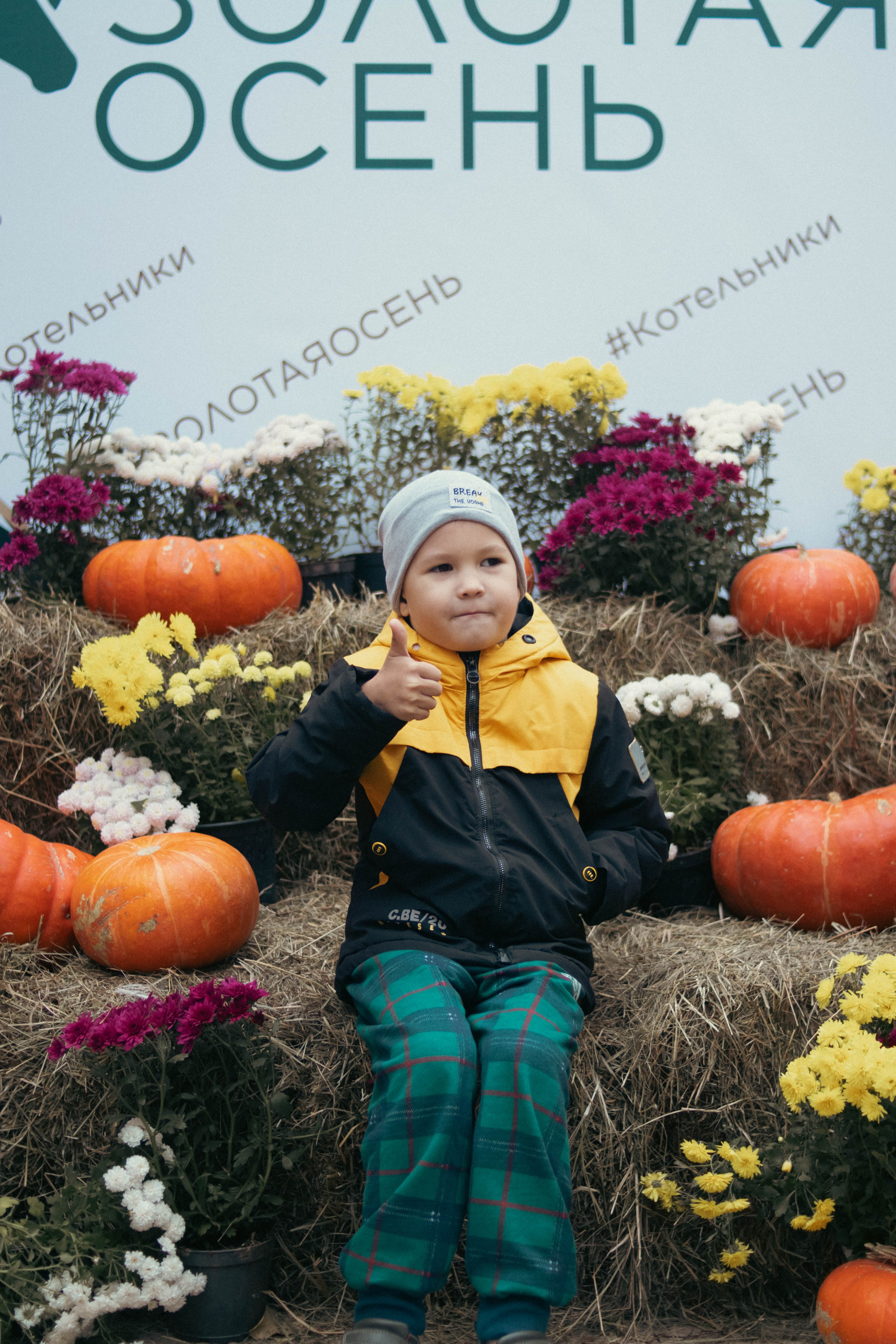 Фестиваль ЗОЛОТАЯ ОСЕНЬ. Фотограф Анна Шумакова