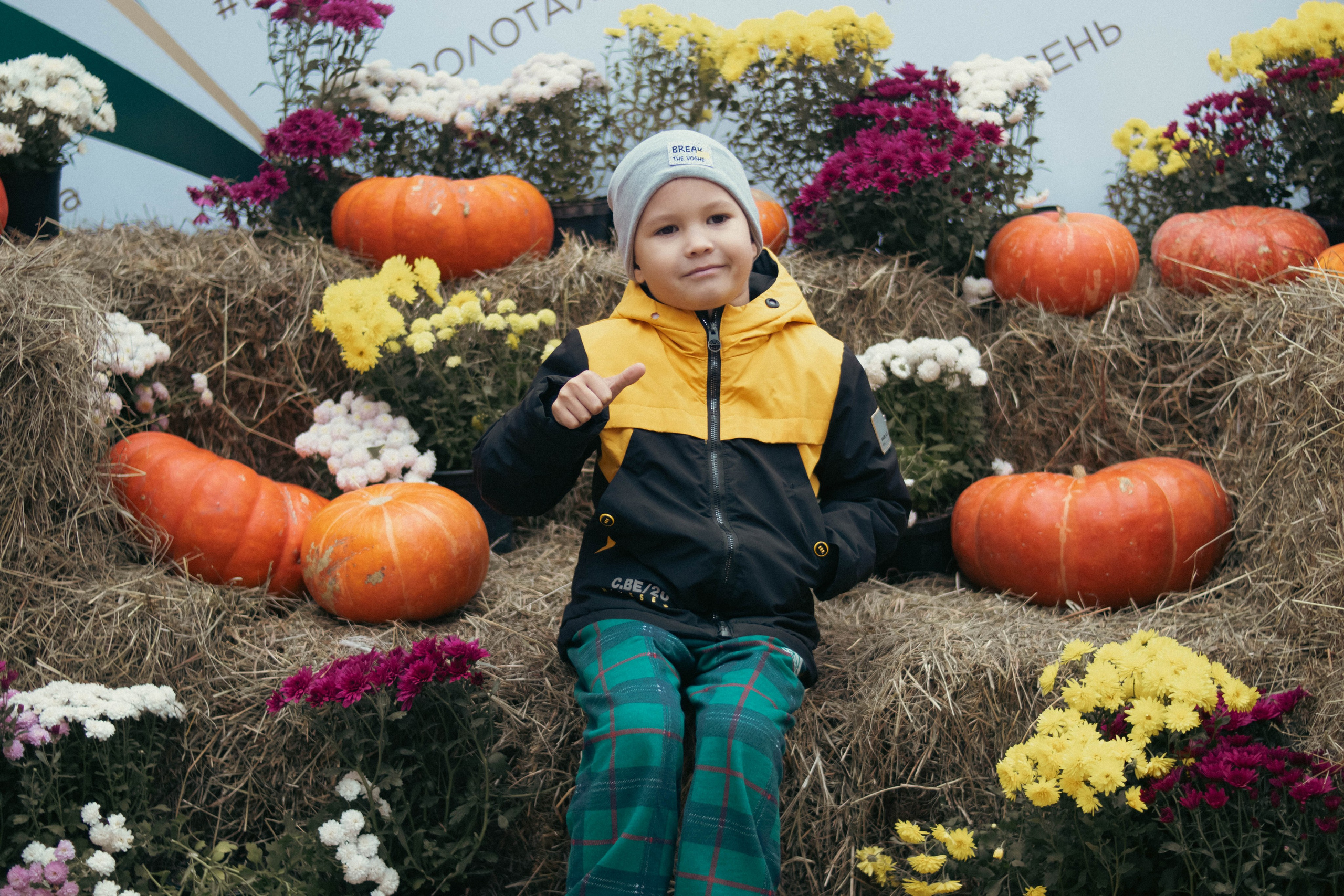 Фестиваль ЗОЛОТАЯ ОСЕНЬ. Фотограф Анна Шумакова
