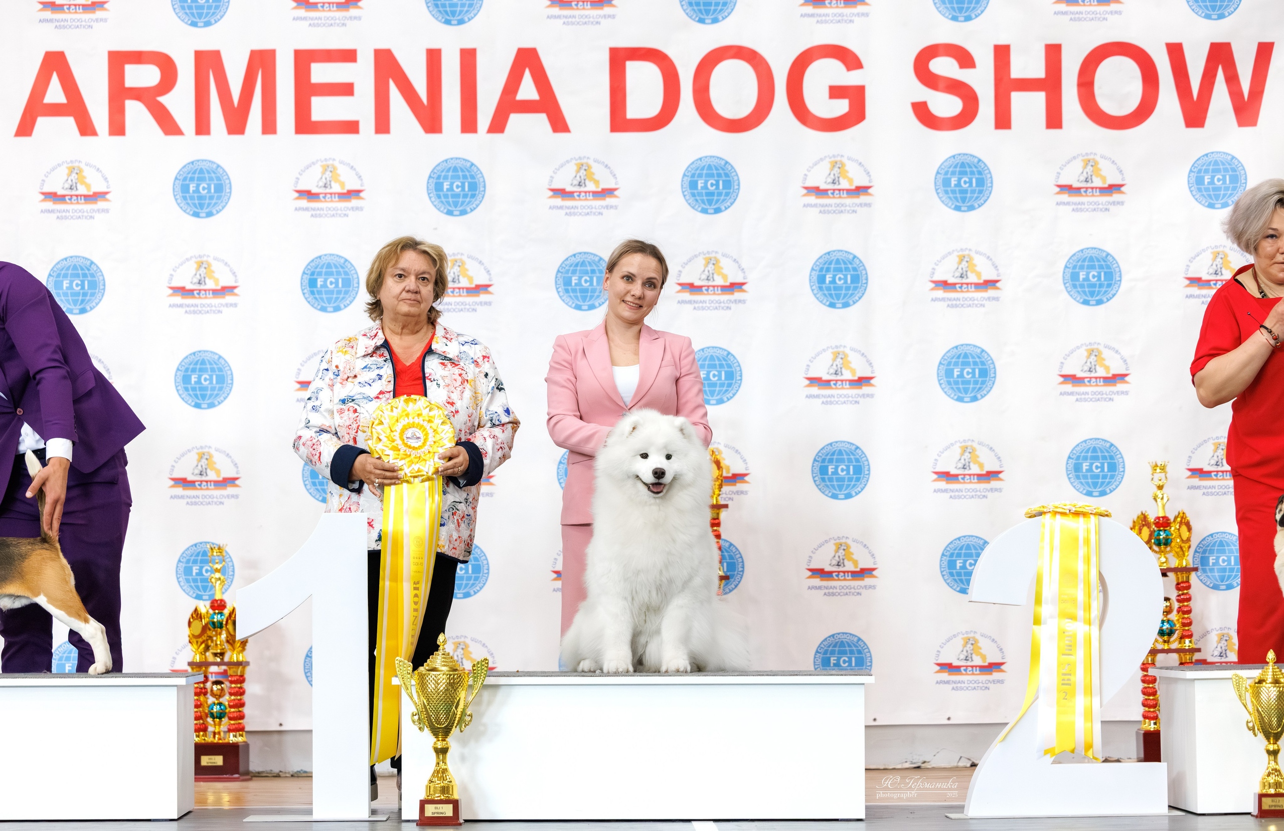 Ереван 2х CACIB 29-30.04.2025. Фотограф-анималист Юлия Германика