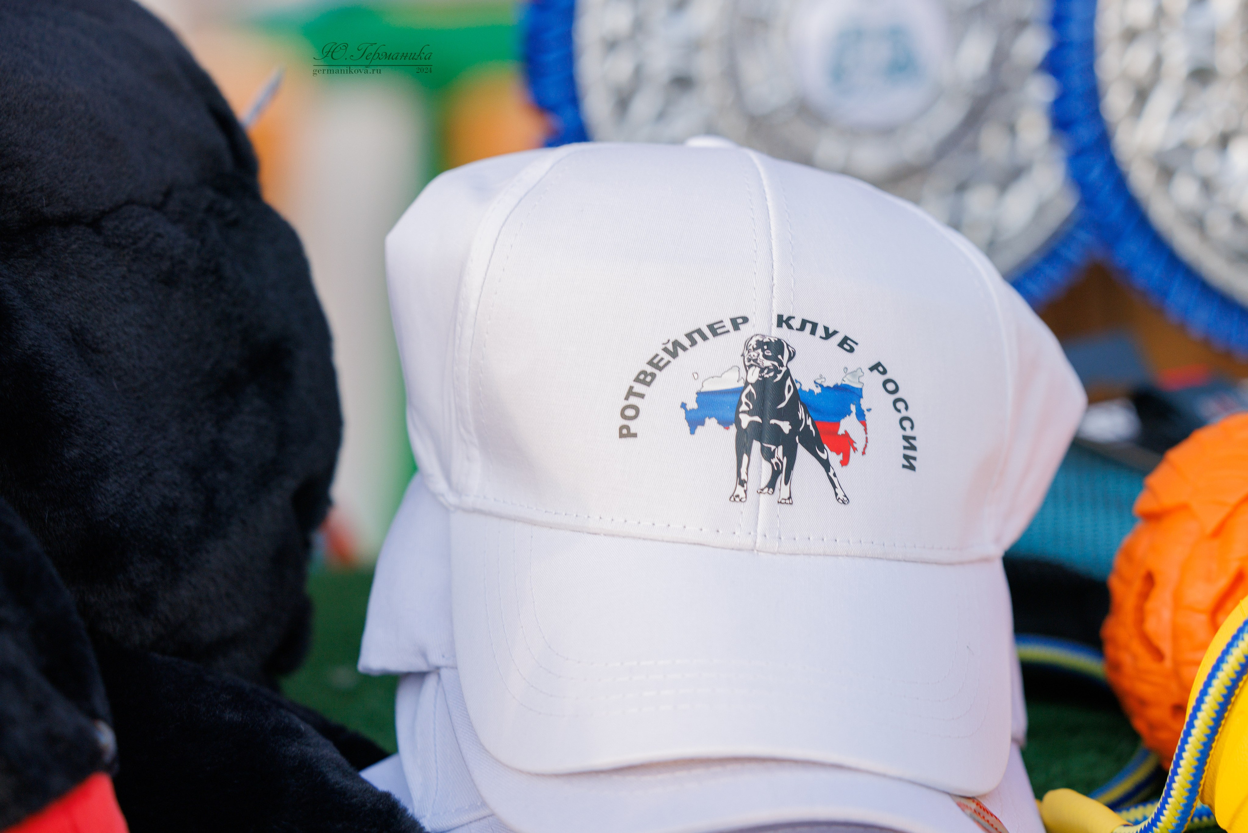 Анапа ротвейлеры 14-15.09.2024. Фотограф-анималист Юлия Германика