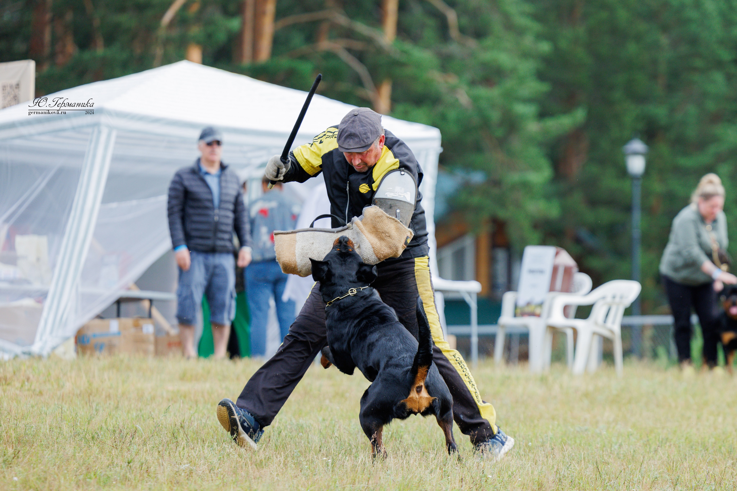 ПК и КЧК ротвейлеры Тверь 6-7.07.2024. Фотограф-анималист Юлия Германика