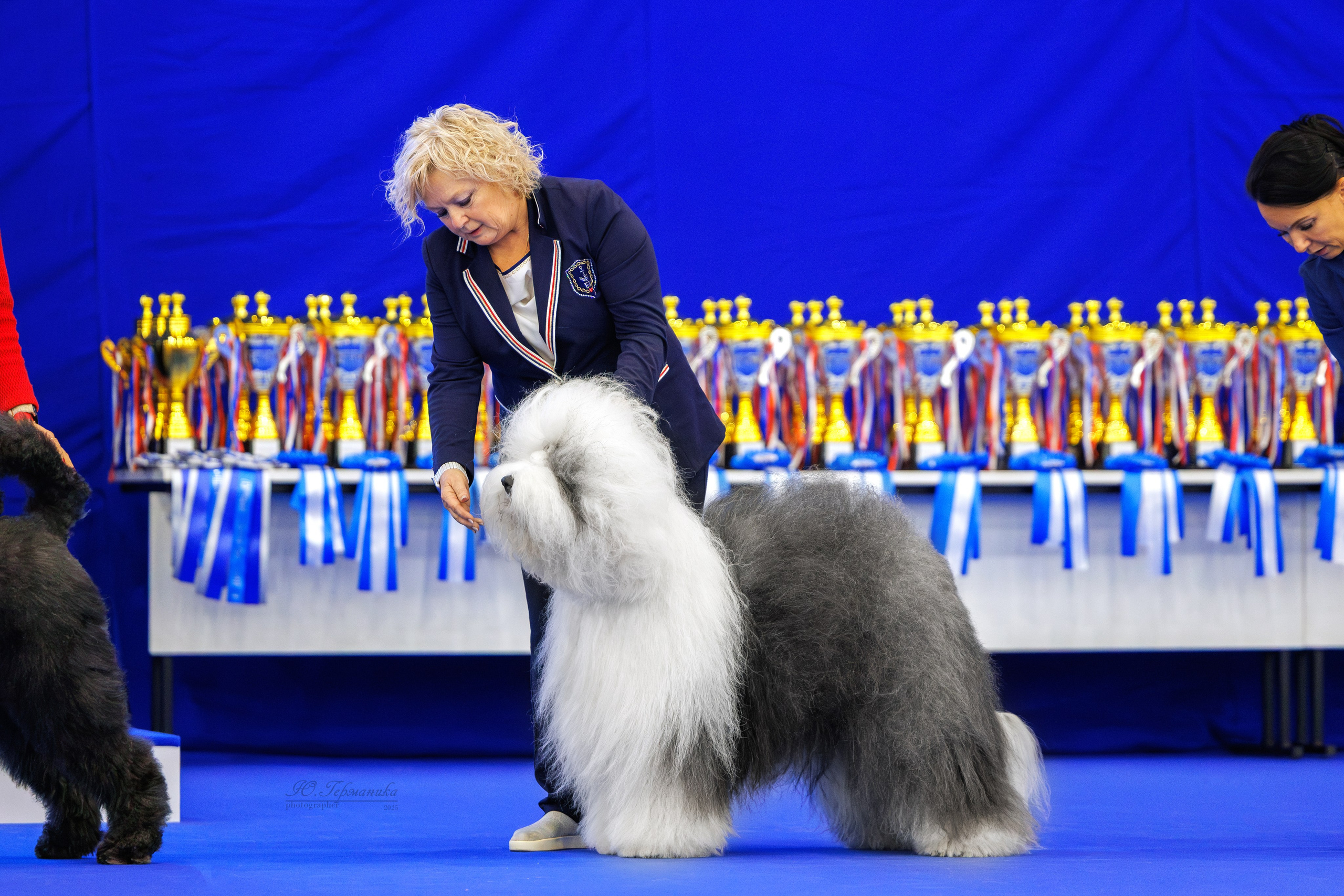 Питер 12-13.12.2025. Фотограф-анималист Юлия Германика