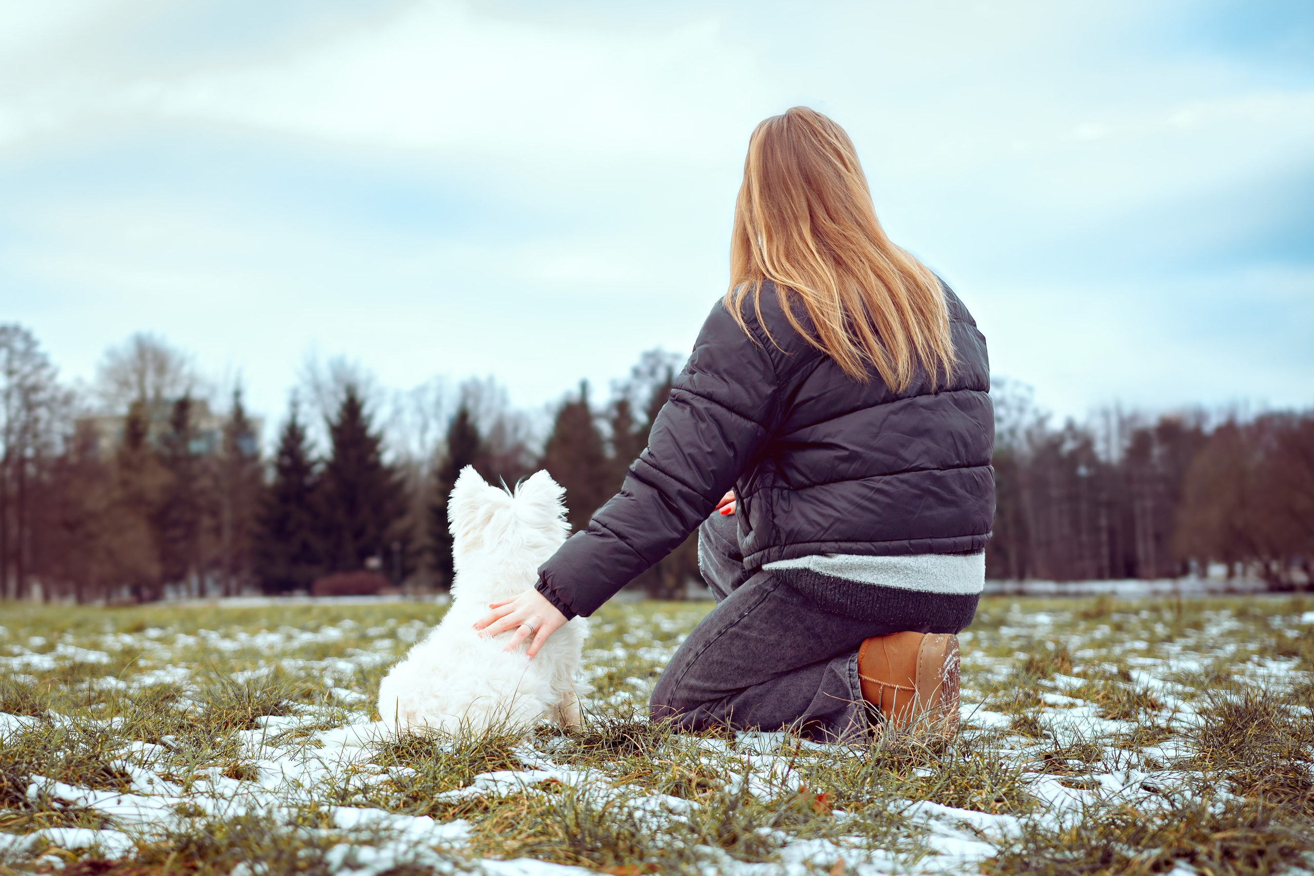 Фотосессия с щенком Минск