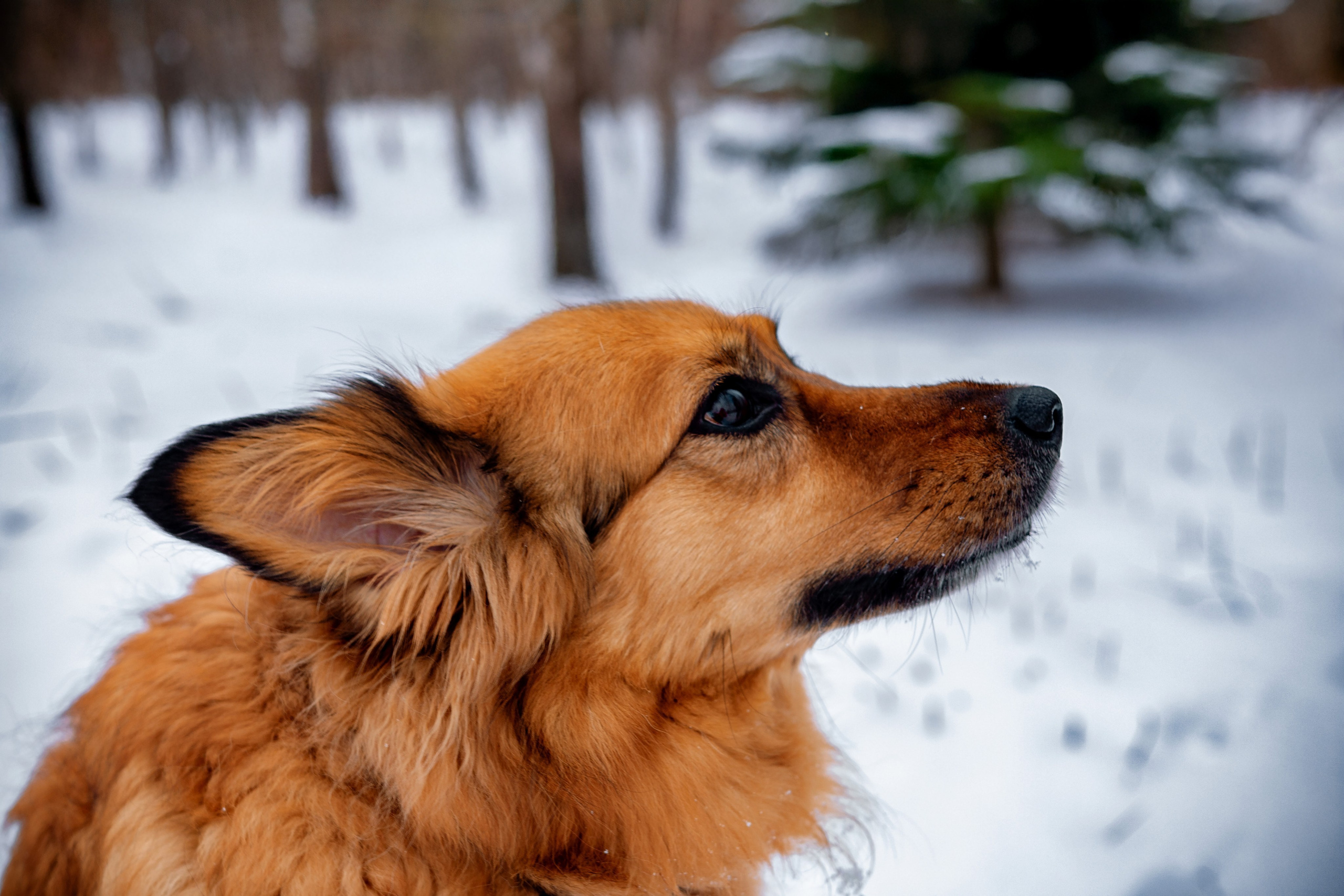 Семейная фотосессия Катя и Лада
