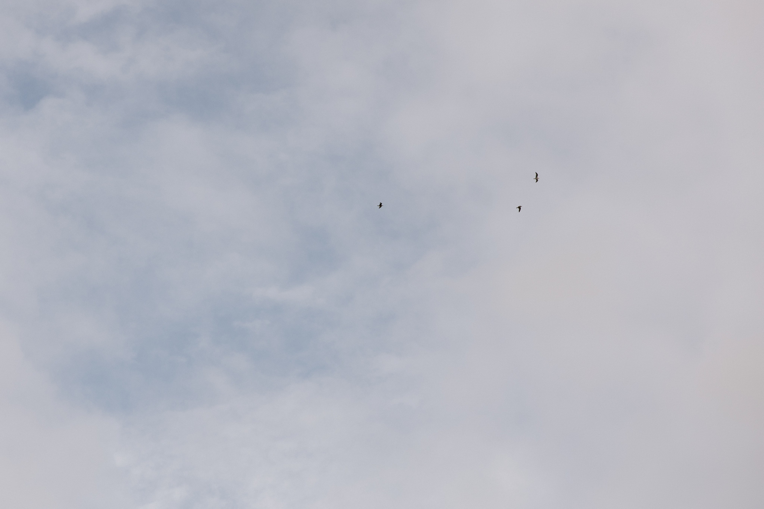 Екатерина и Сергей. Свадебный и Семейный фотограф в городе Тимашевск и Краснодар