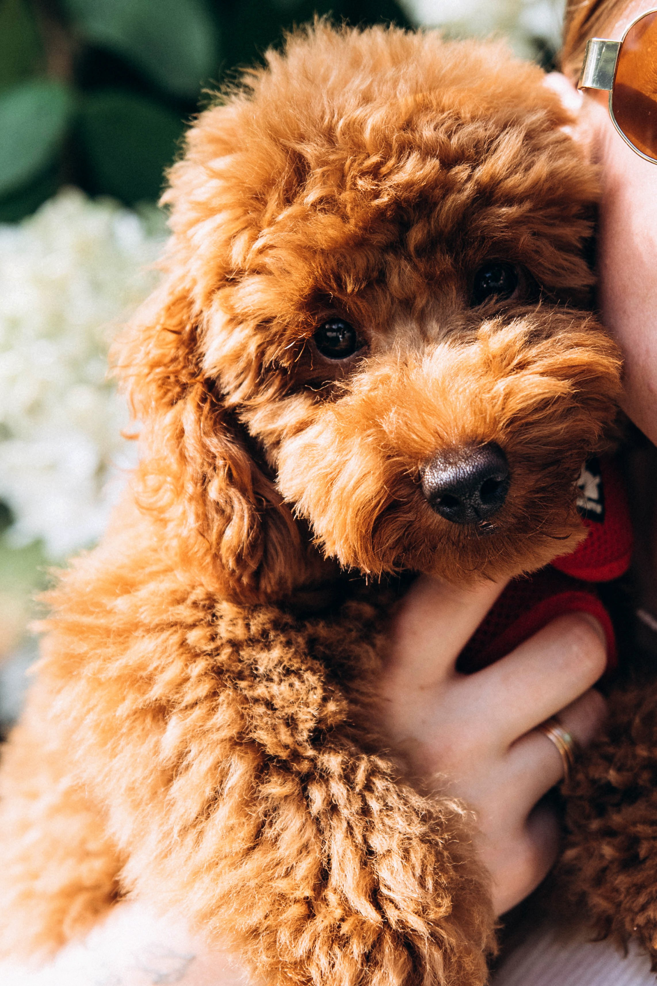 Семья. ФОТОГРАФ ВЛАДИВОСТОК