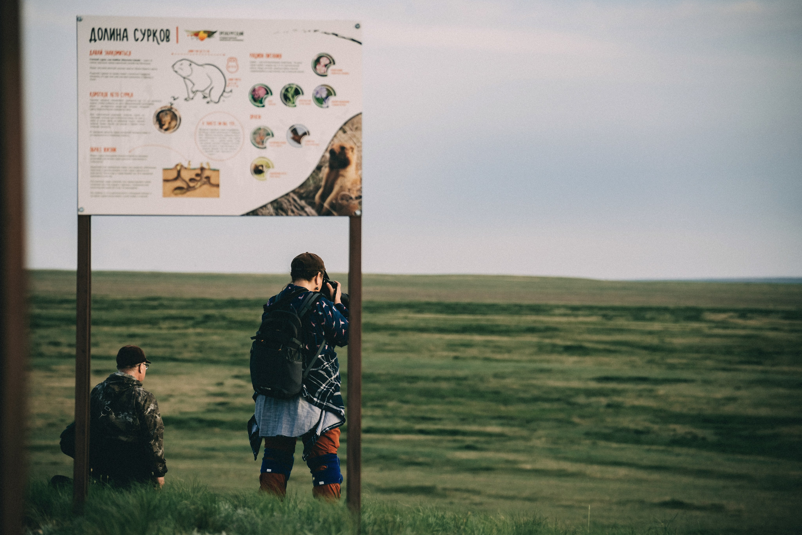 Заповедник «Оренбургский», предуральская степь. Фотообъединение Самарского областного отделения Союза журналистов России