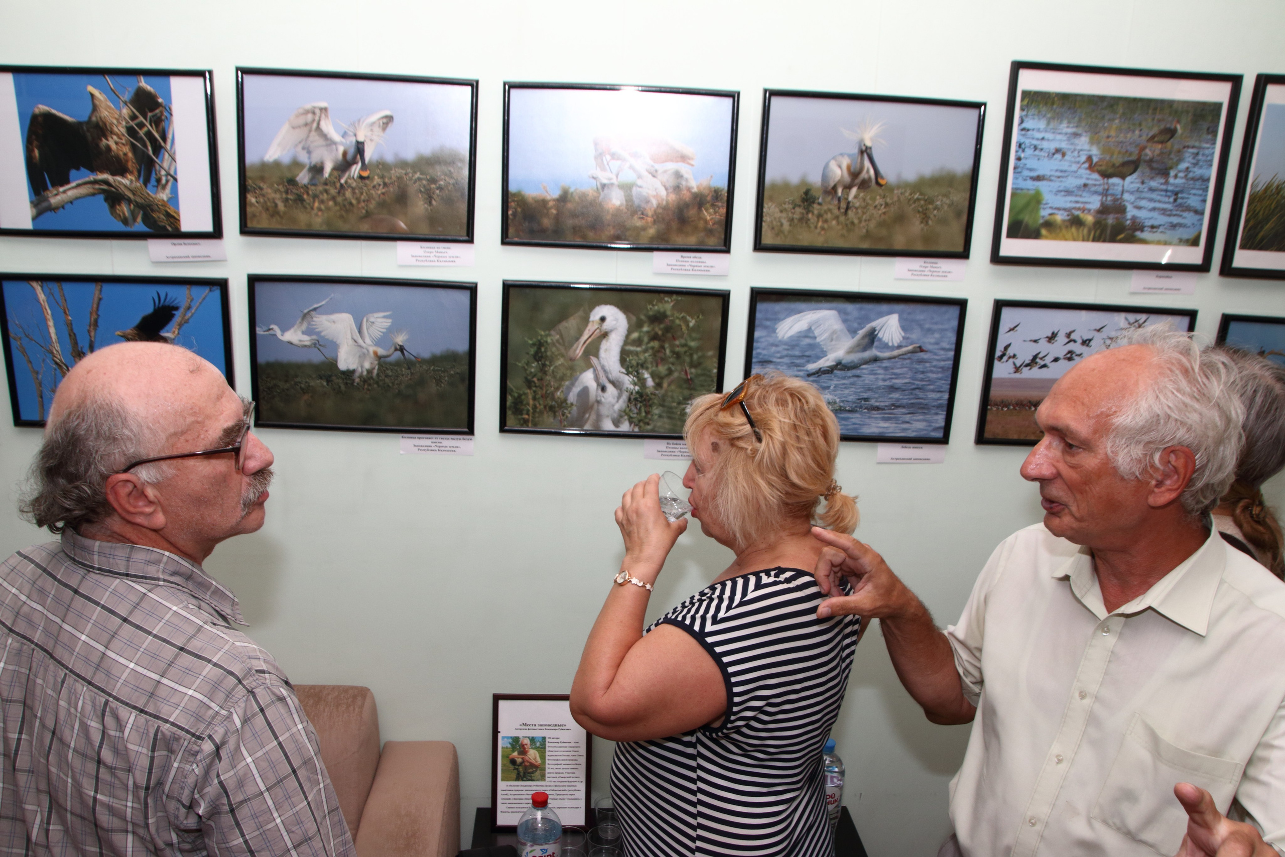 24.08.2020 Выставка Владимира Рубинчика. Фотообъединение Самарского областного отделения Союза журналистов России
