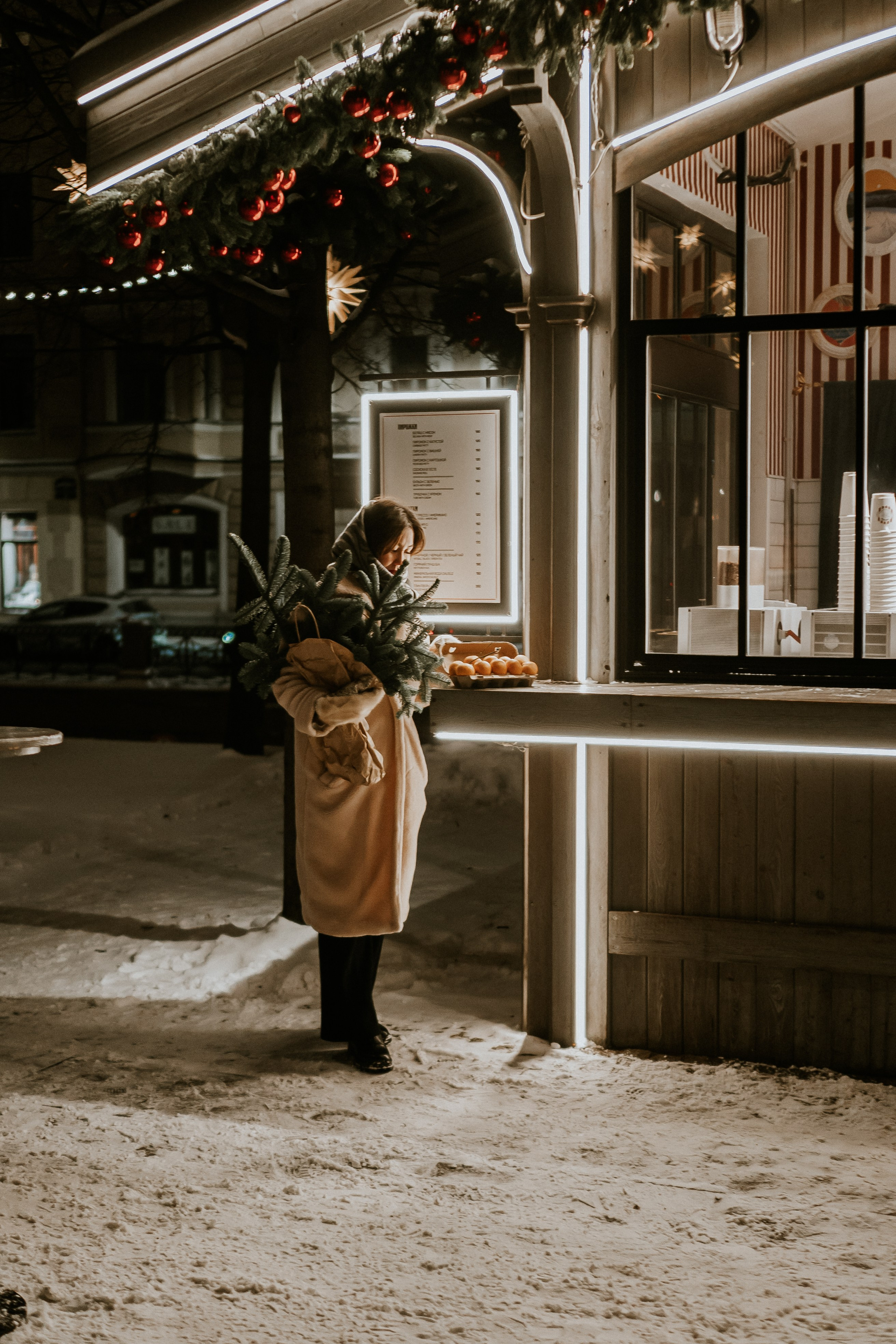Зимняя сказка в Новой Голандии. Профессиональный фотограф, Санкт-Петербург — Виктория Богомолова