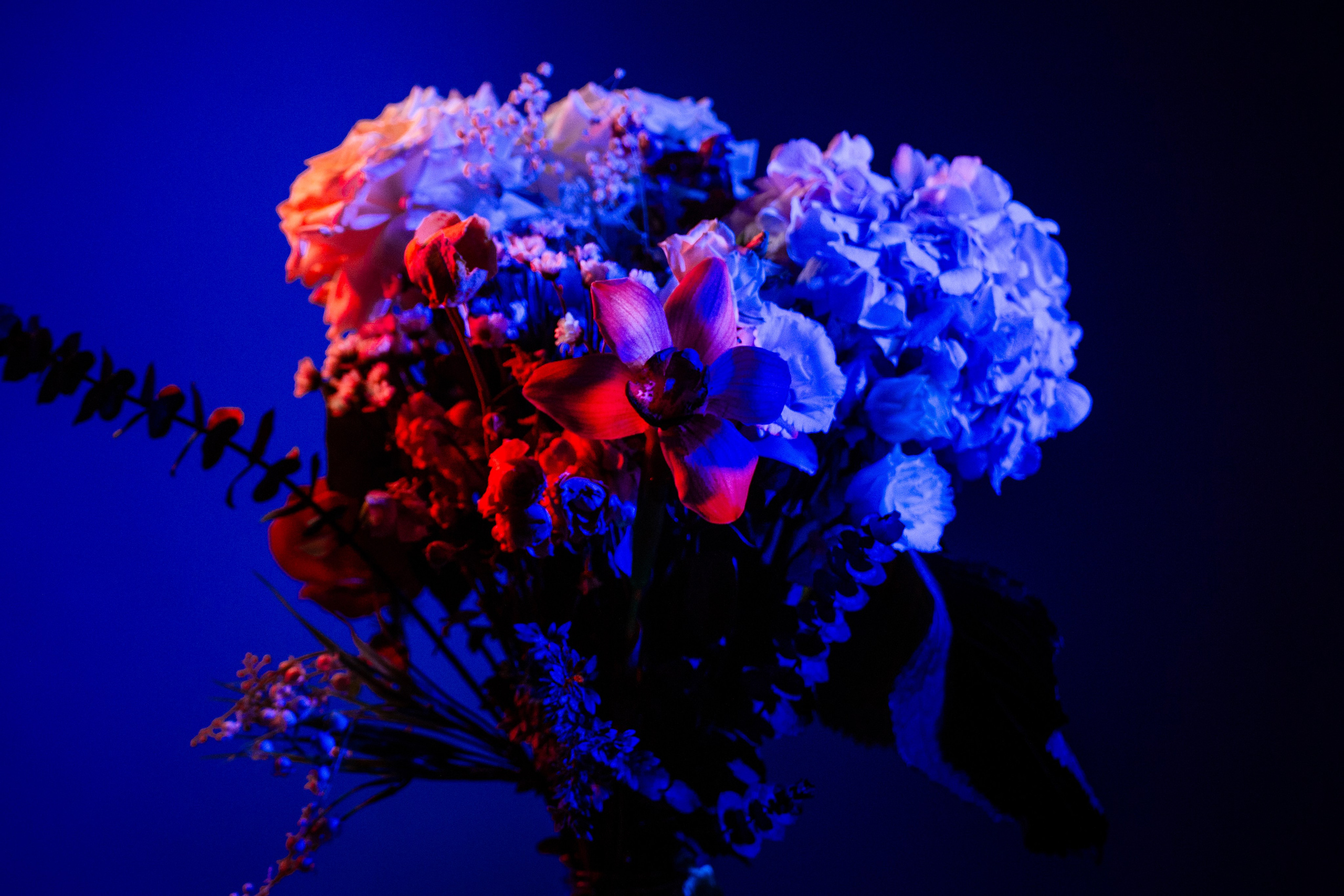 Цветы. Costume designer and artist