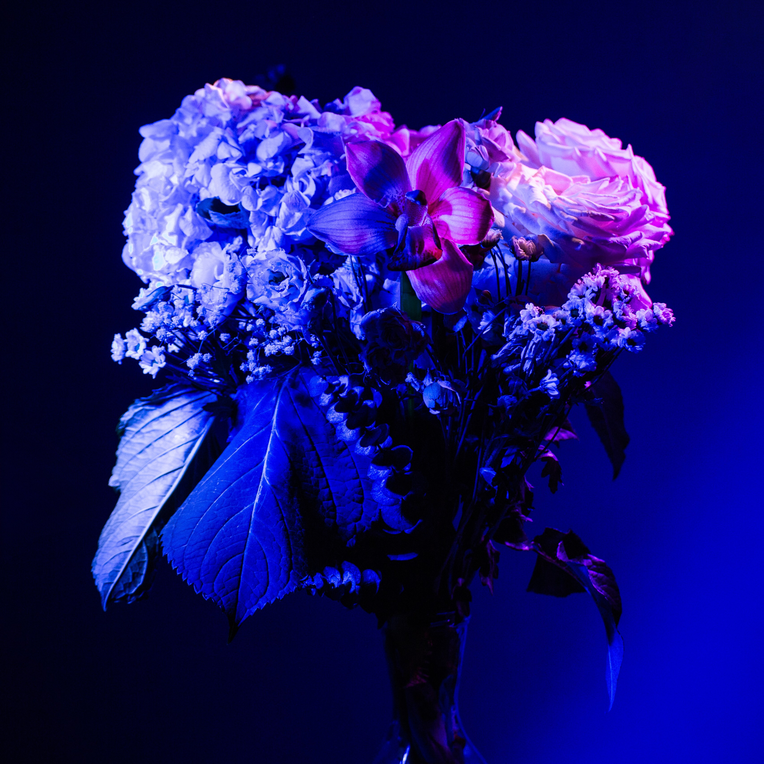 Цветы. Costume designer and artist