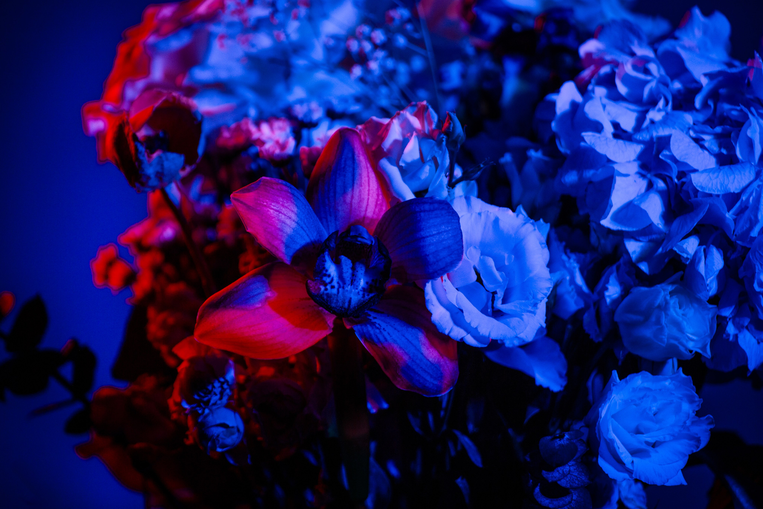 Цветы. Costume designer and artist