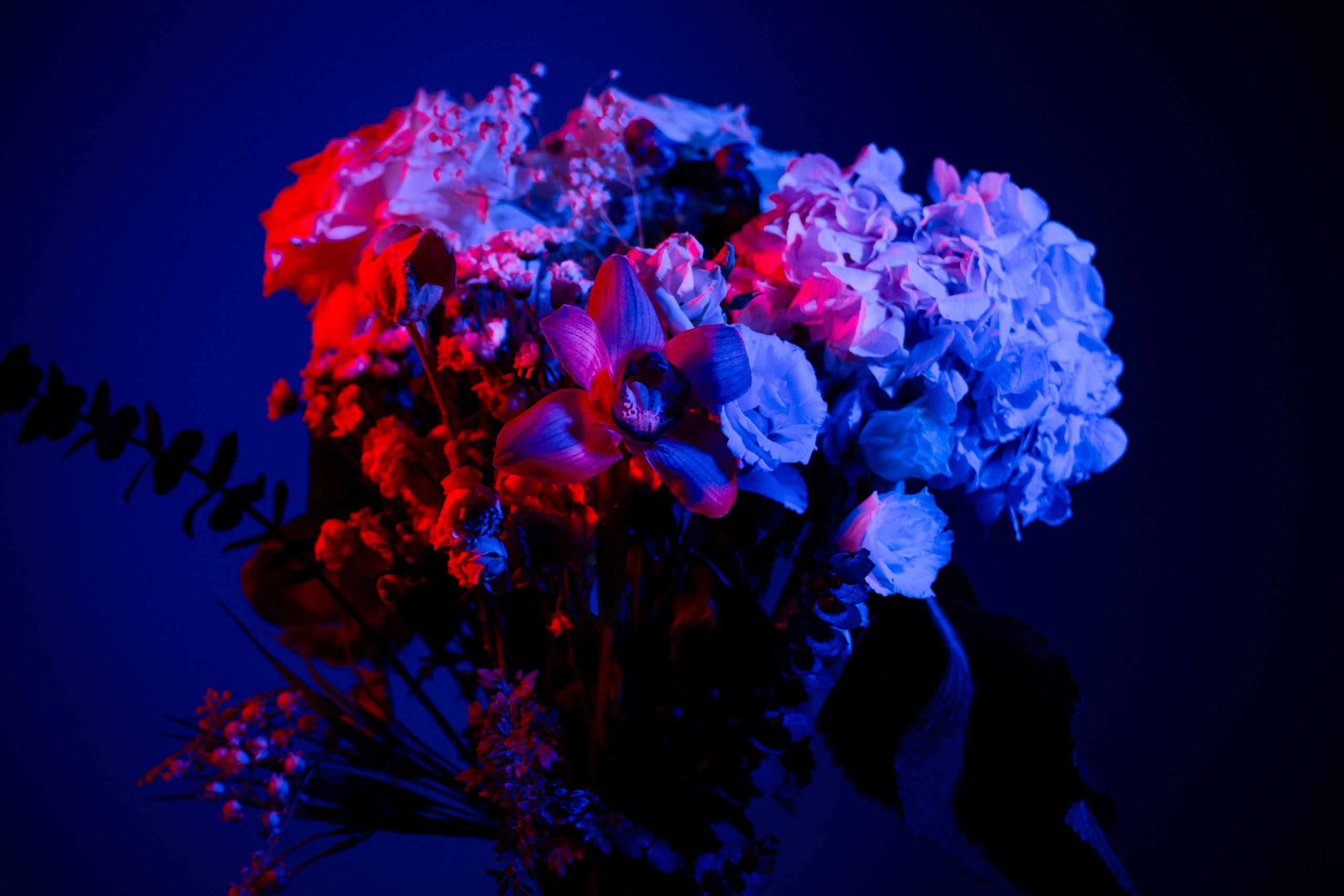 Цветы. Costume designer and artist