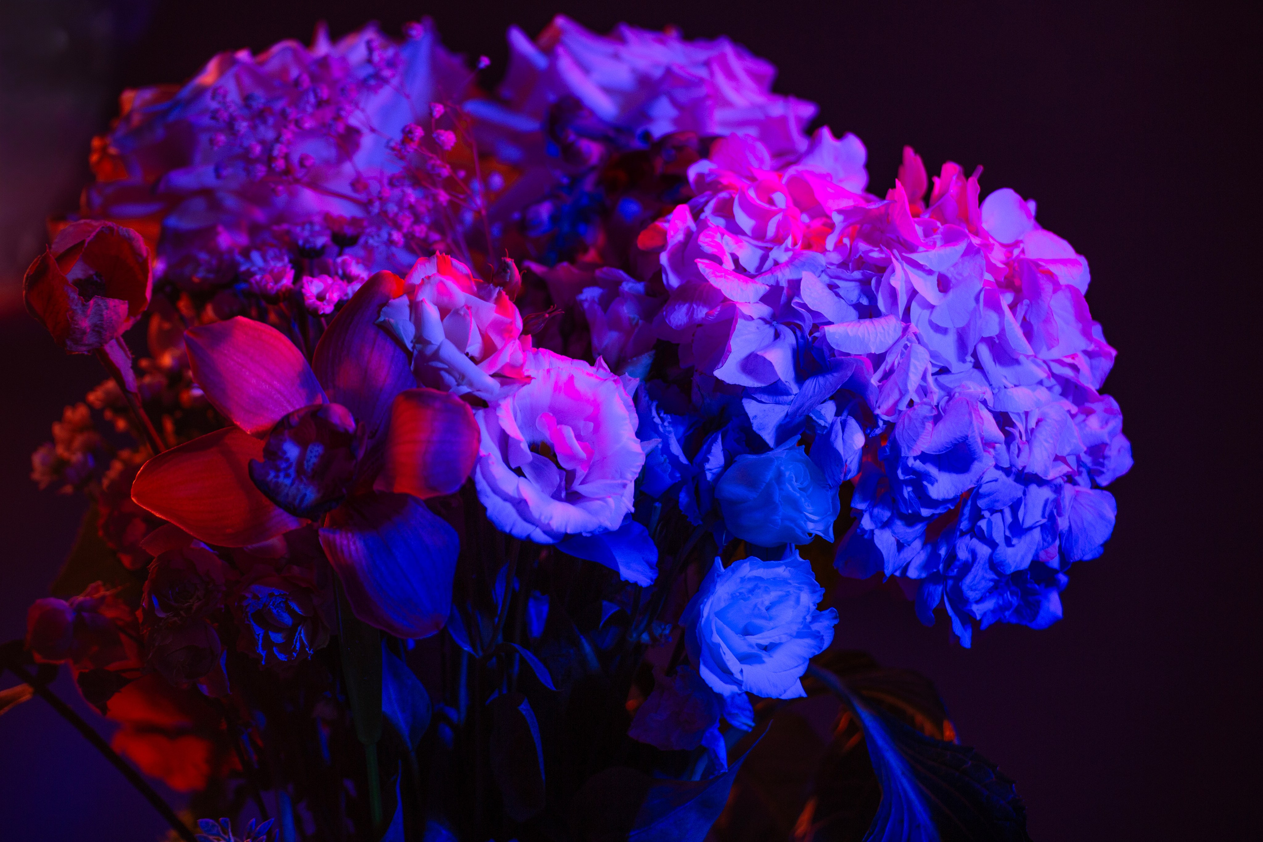 Цветы. Costume designer and artist