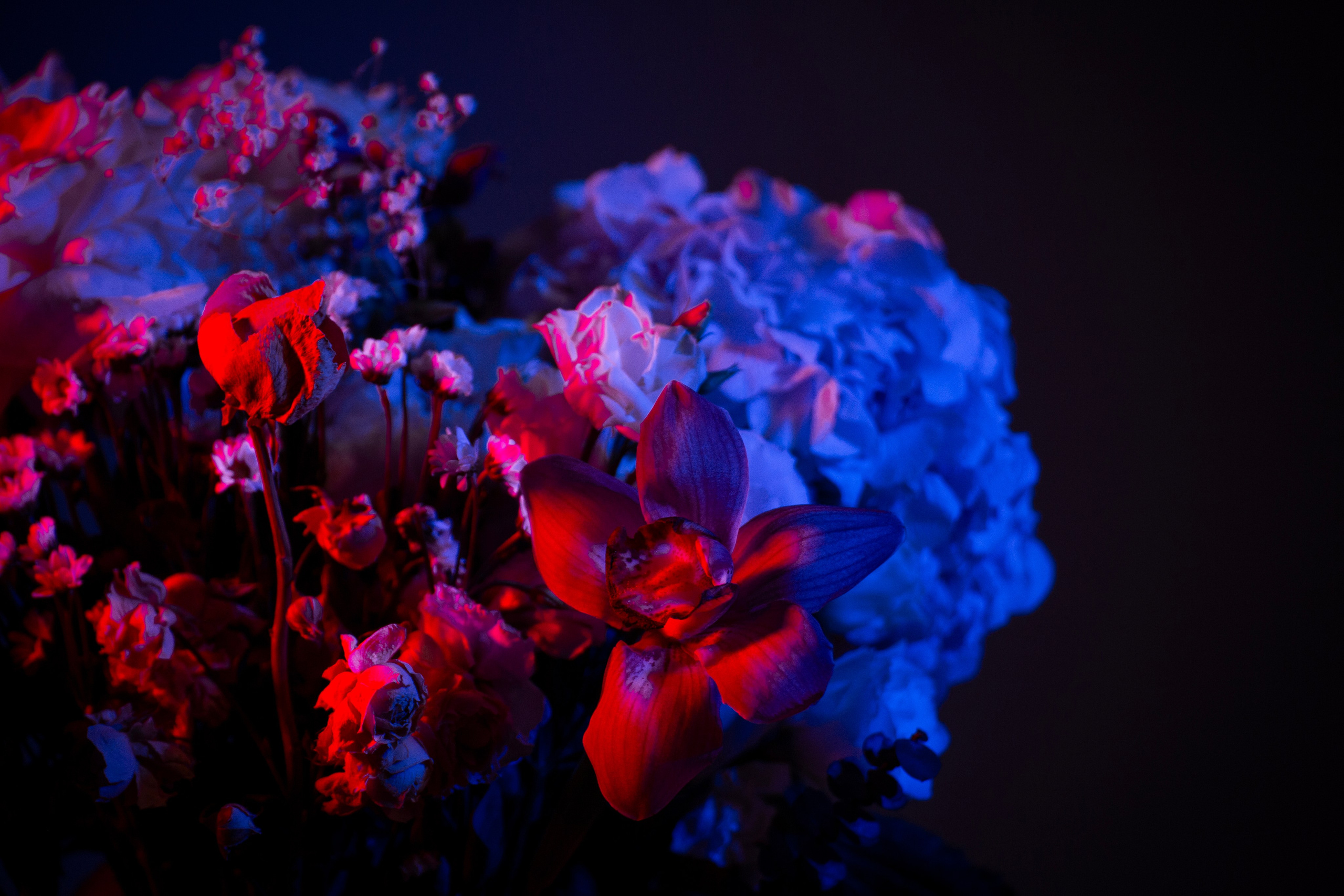 Цветы. Costume designer and artist