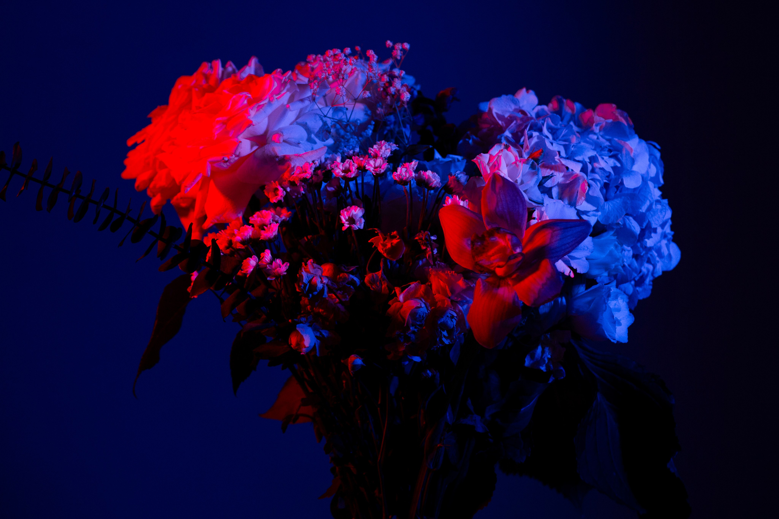 Цветы. Costume designer and artist