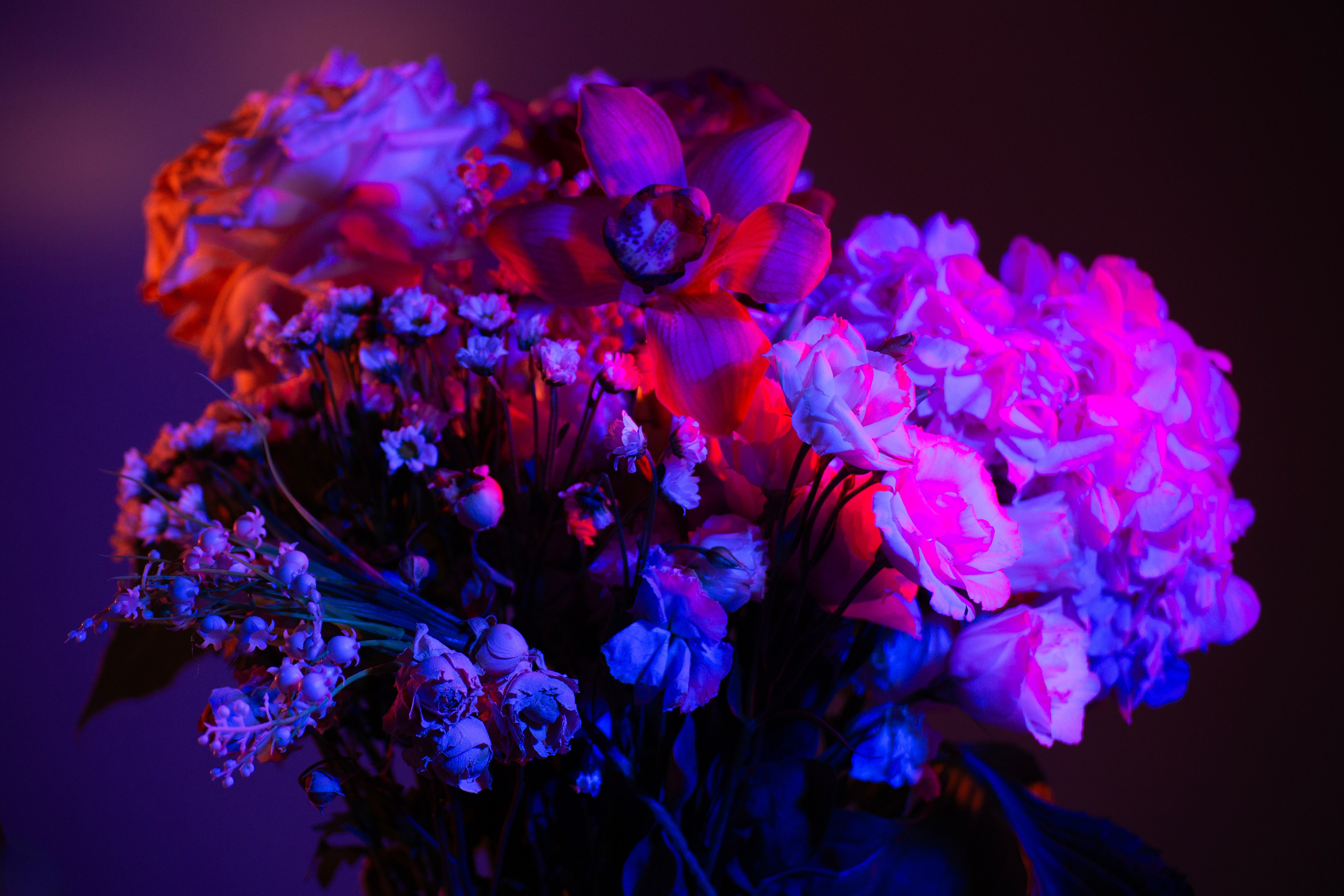 Цветы. Costume designer and artist