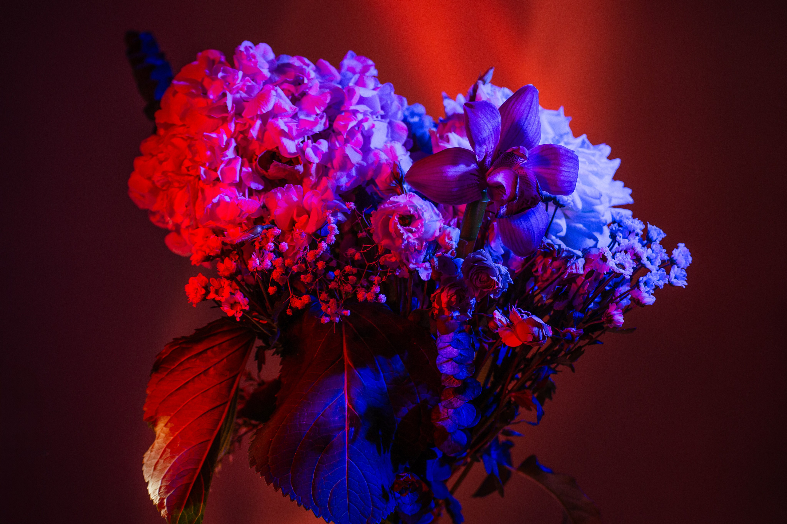 Цветы. Costume designer and artist