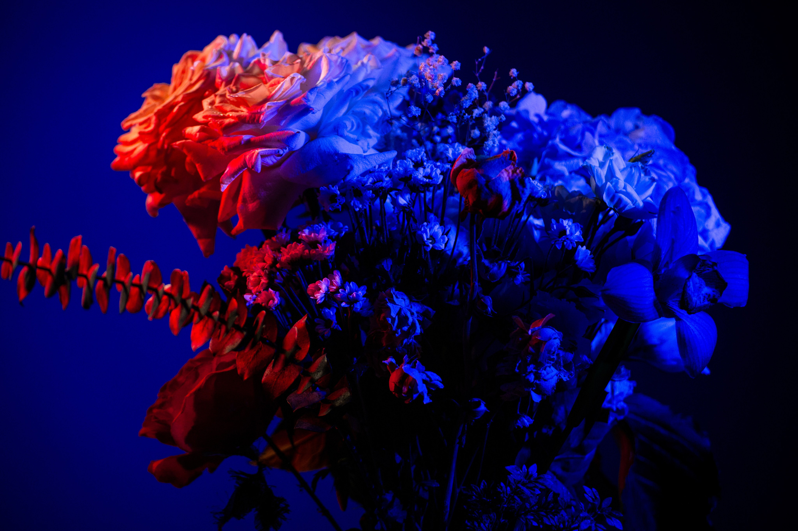 Цветы. Costume designer and artist