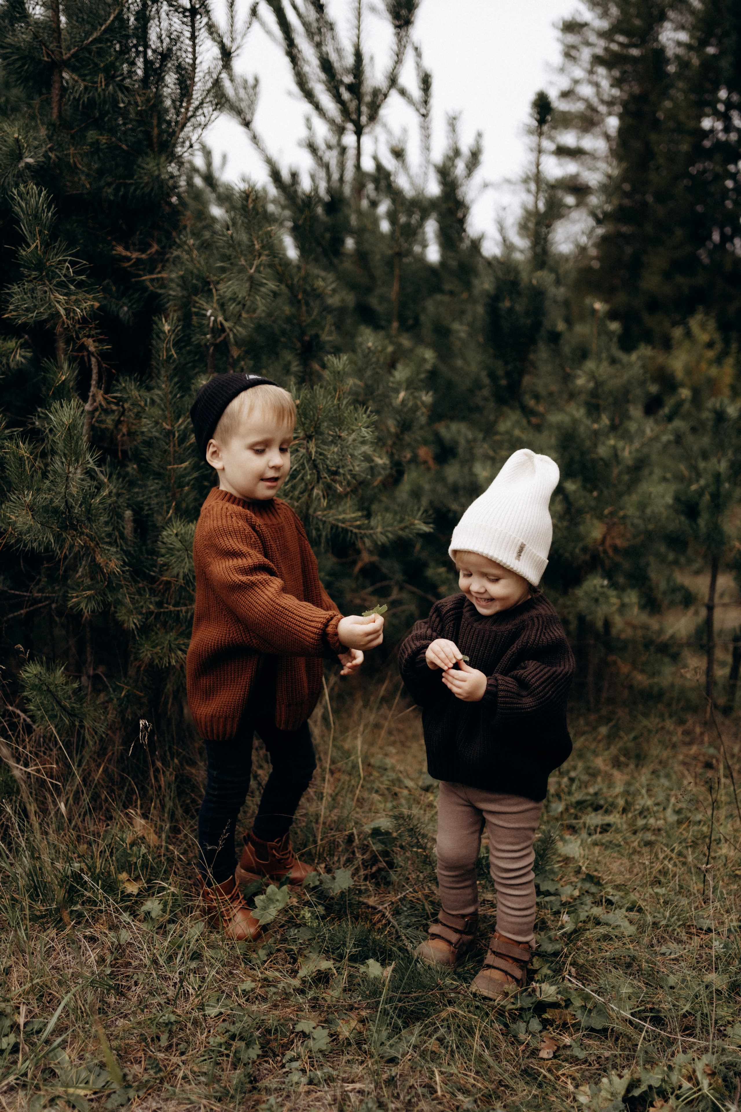 Серия для Анастасии, Осень, Урал. Фотограф Перевозкина Анна