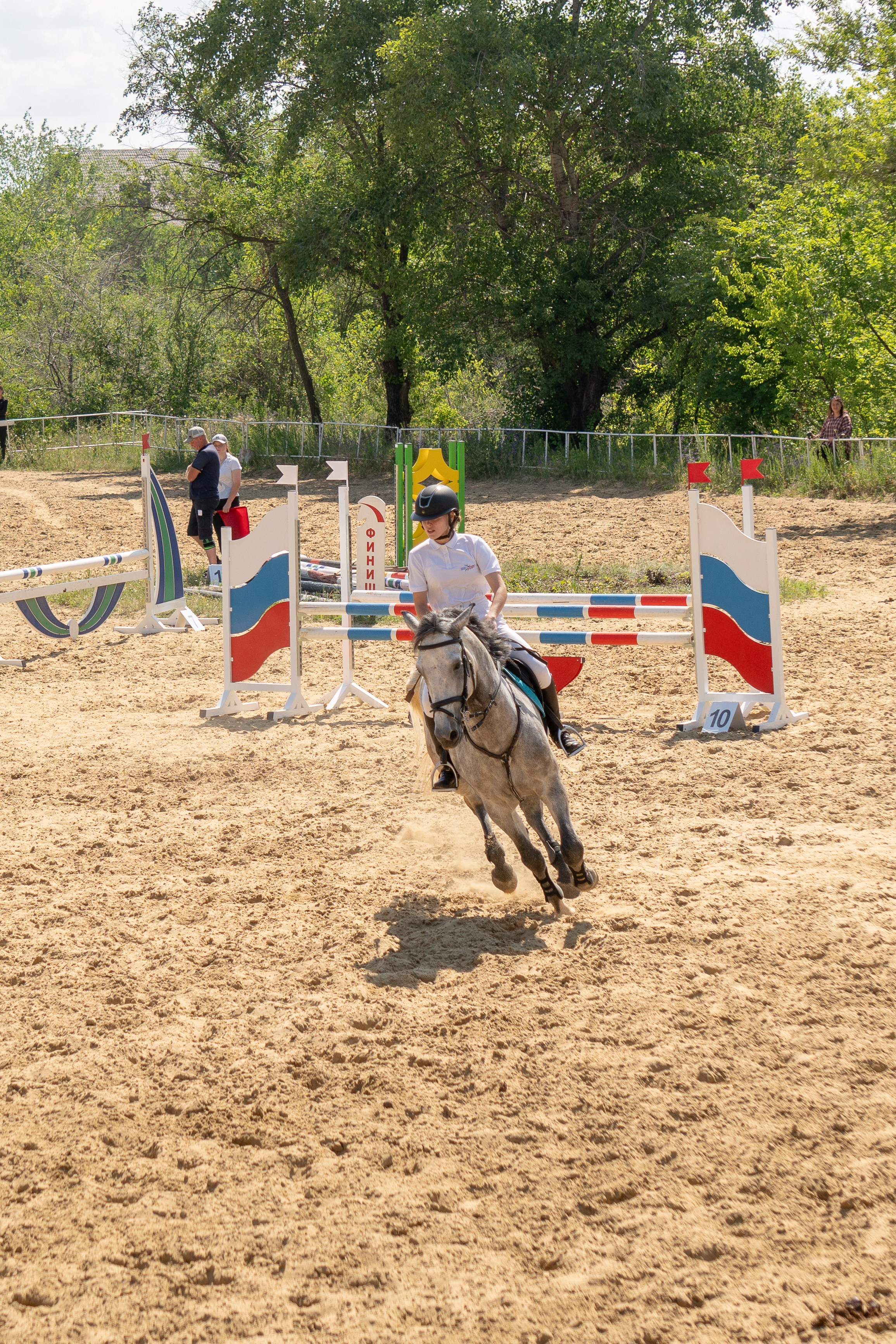 Соревнования по конкуру, Луганск. Фотограф в РФ и ЛНР Юлия Федосеева
