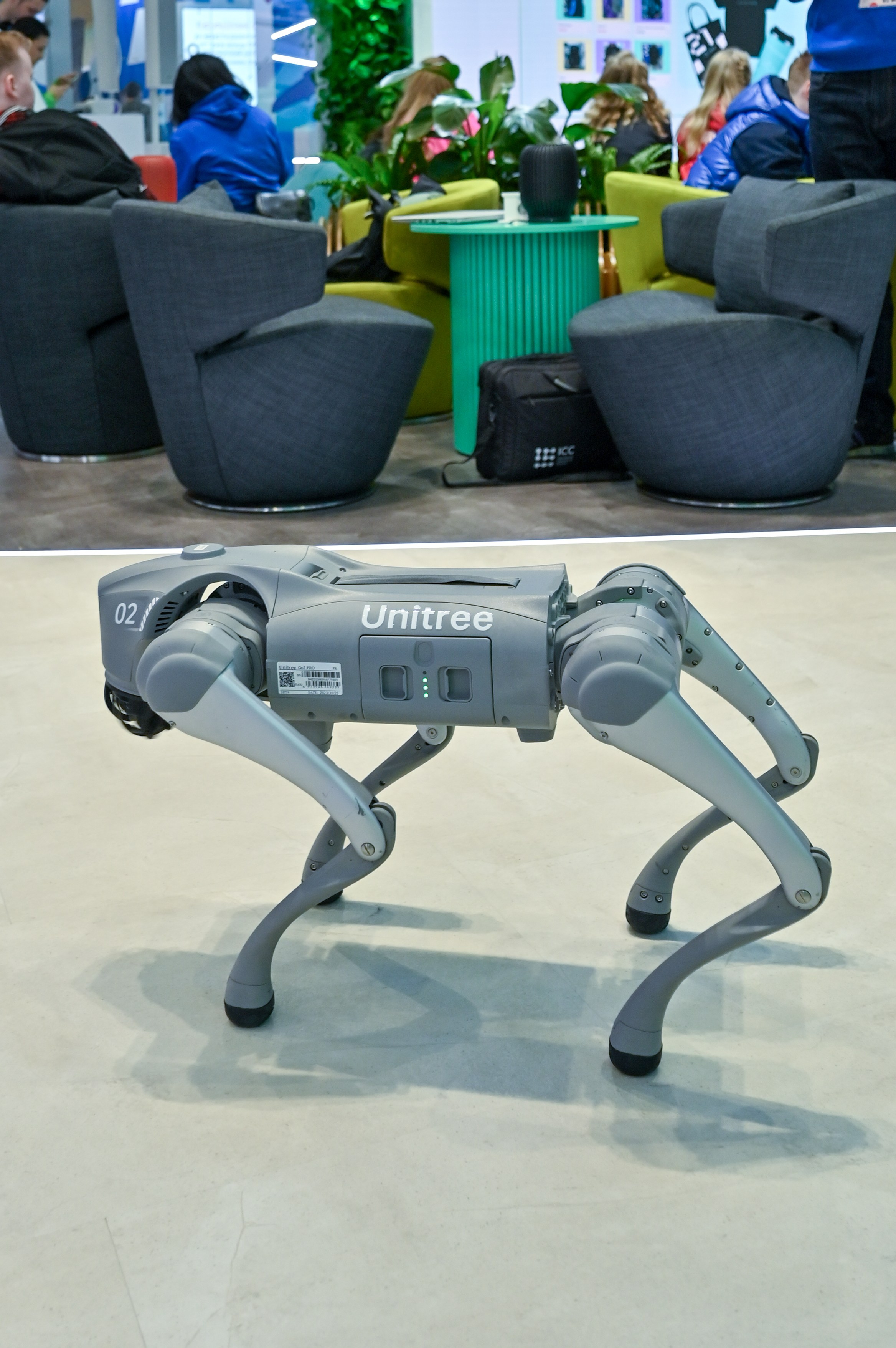 Фотоотчет для партнерской интеграции Сбербанк на ВМФ в Сириус 2024. Репортажный фотограф в Красной Поляне и Сочи Павлюченко Екатерина