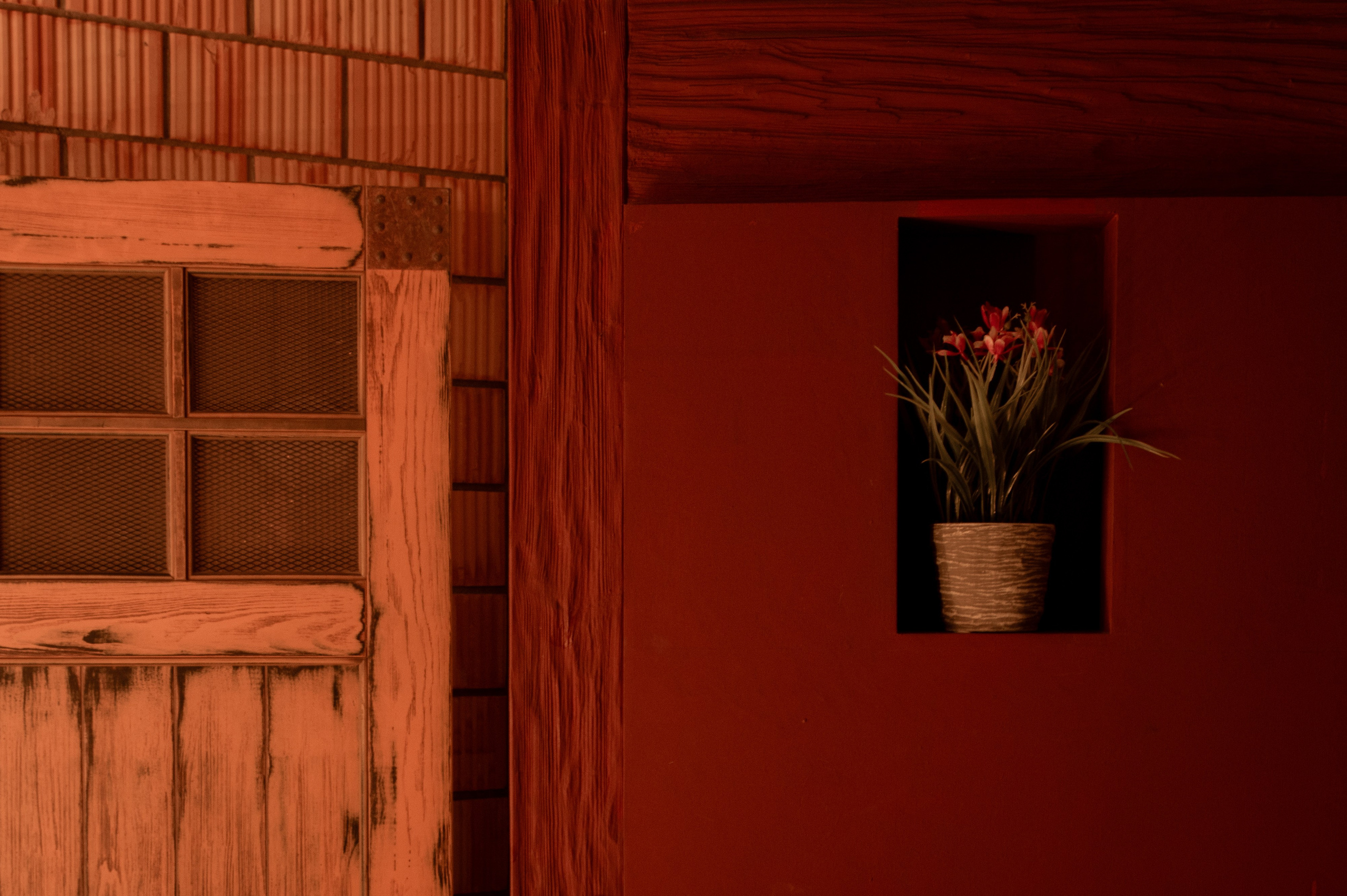 Валентина и Сергей. Свадебный и портретный фотограф в Москве Жердев Даниил