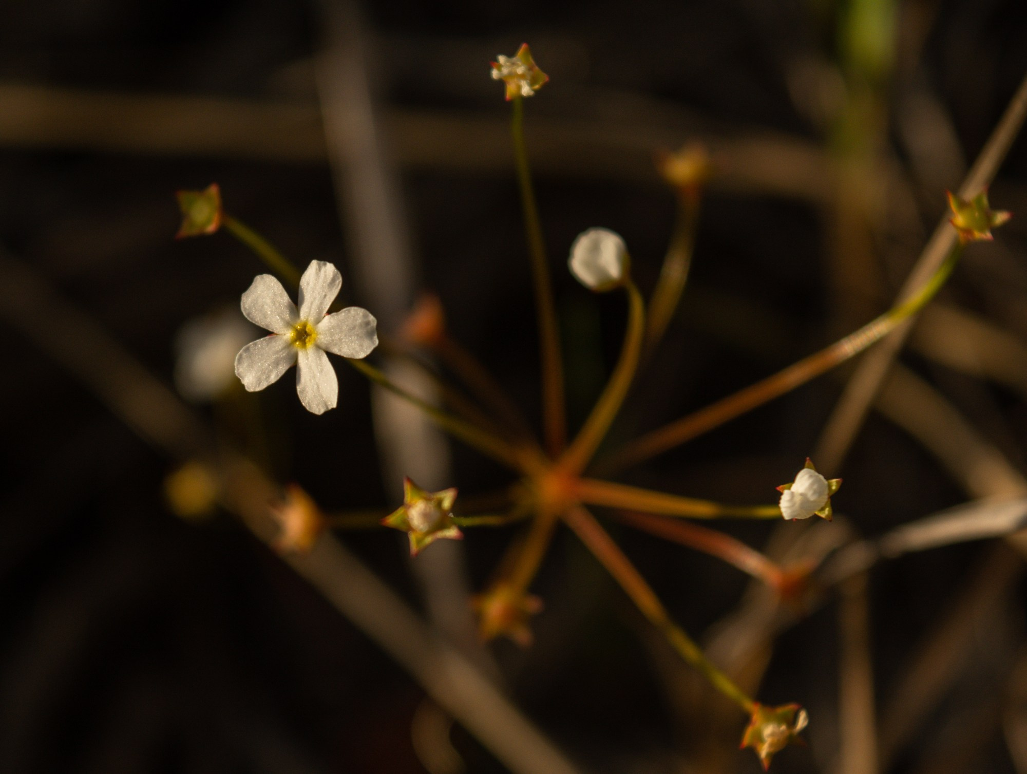 Разное. Репортажный фотограф г. Чита