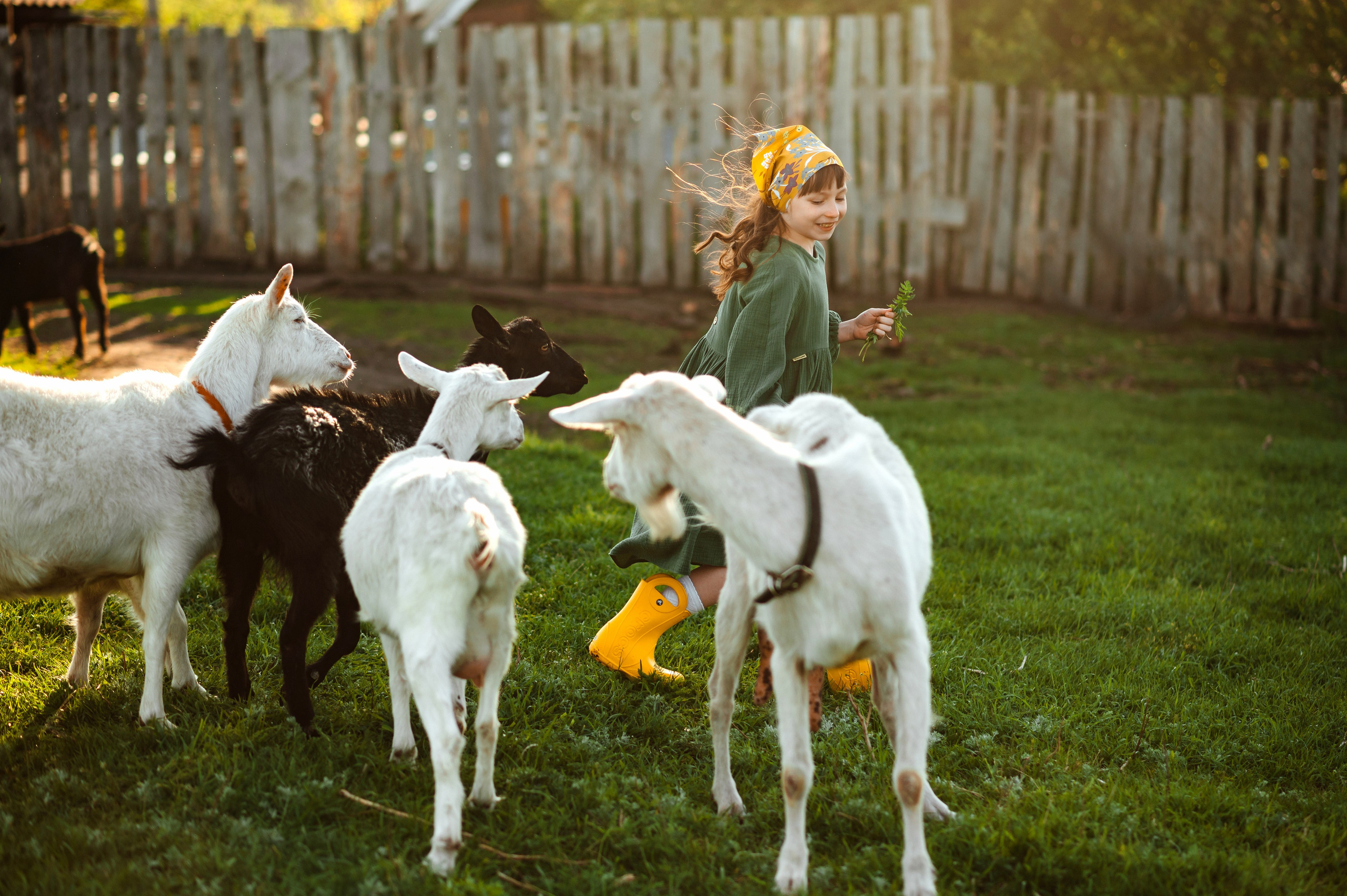 О любви к животным. Свадебный и семейный Фотограф в Пензе Татьяна Лапоногова