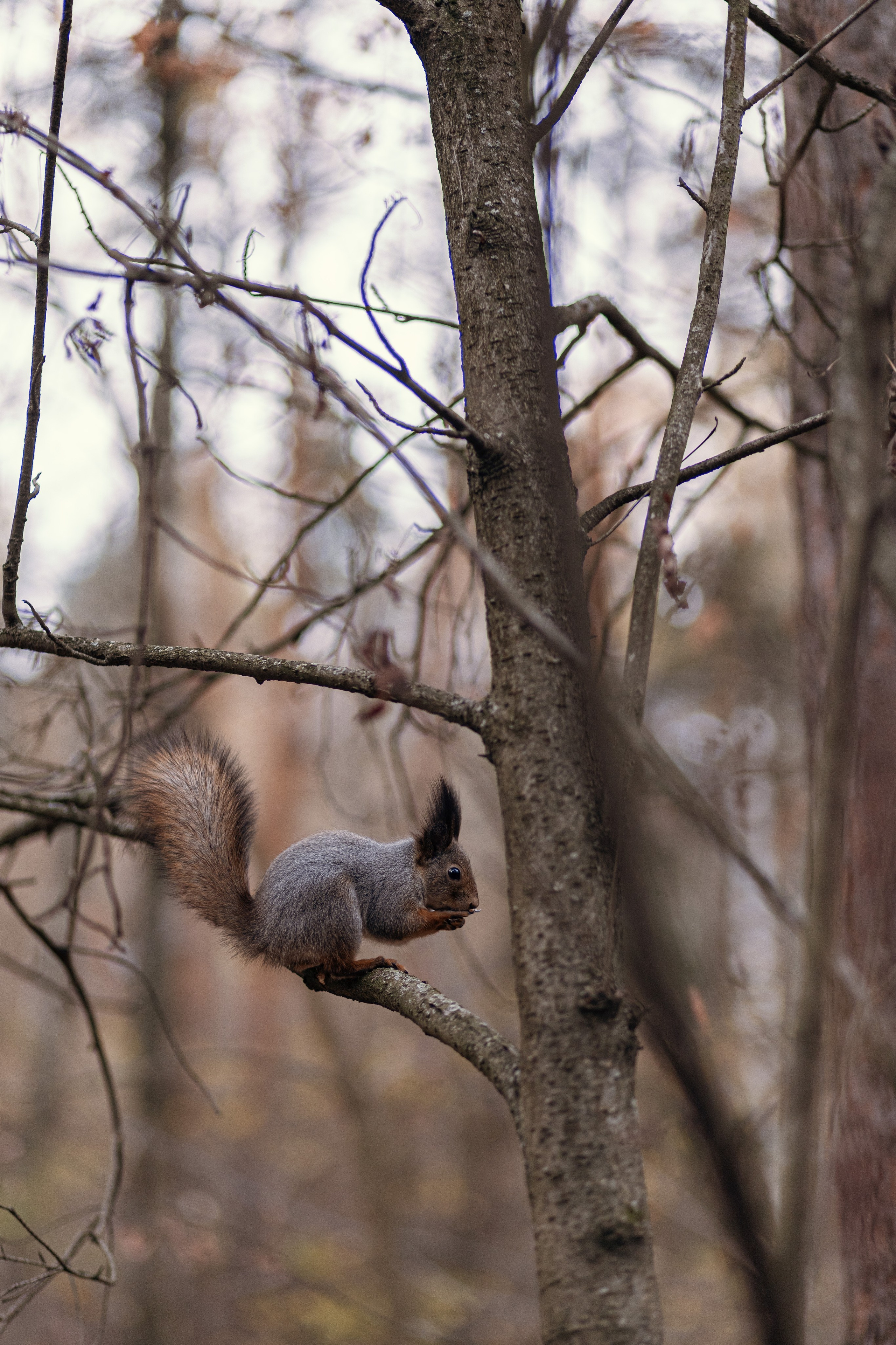 Мир вокруг. Фотограф и психолог Мария Маринова