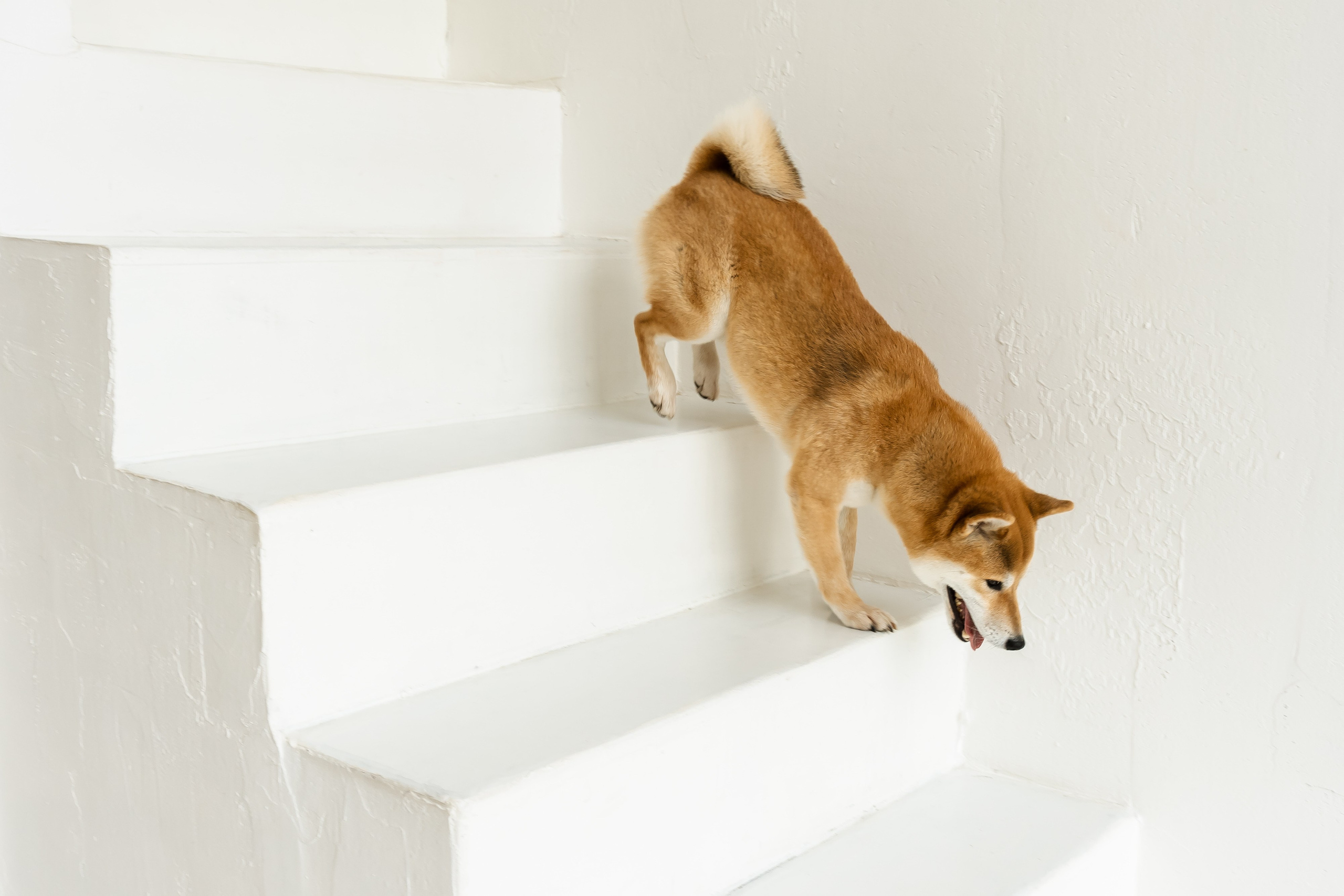 Аня, Даниил и Максим | семейная съёмка. Свадебный фотограф в Москве Яна Деньгина