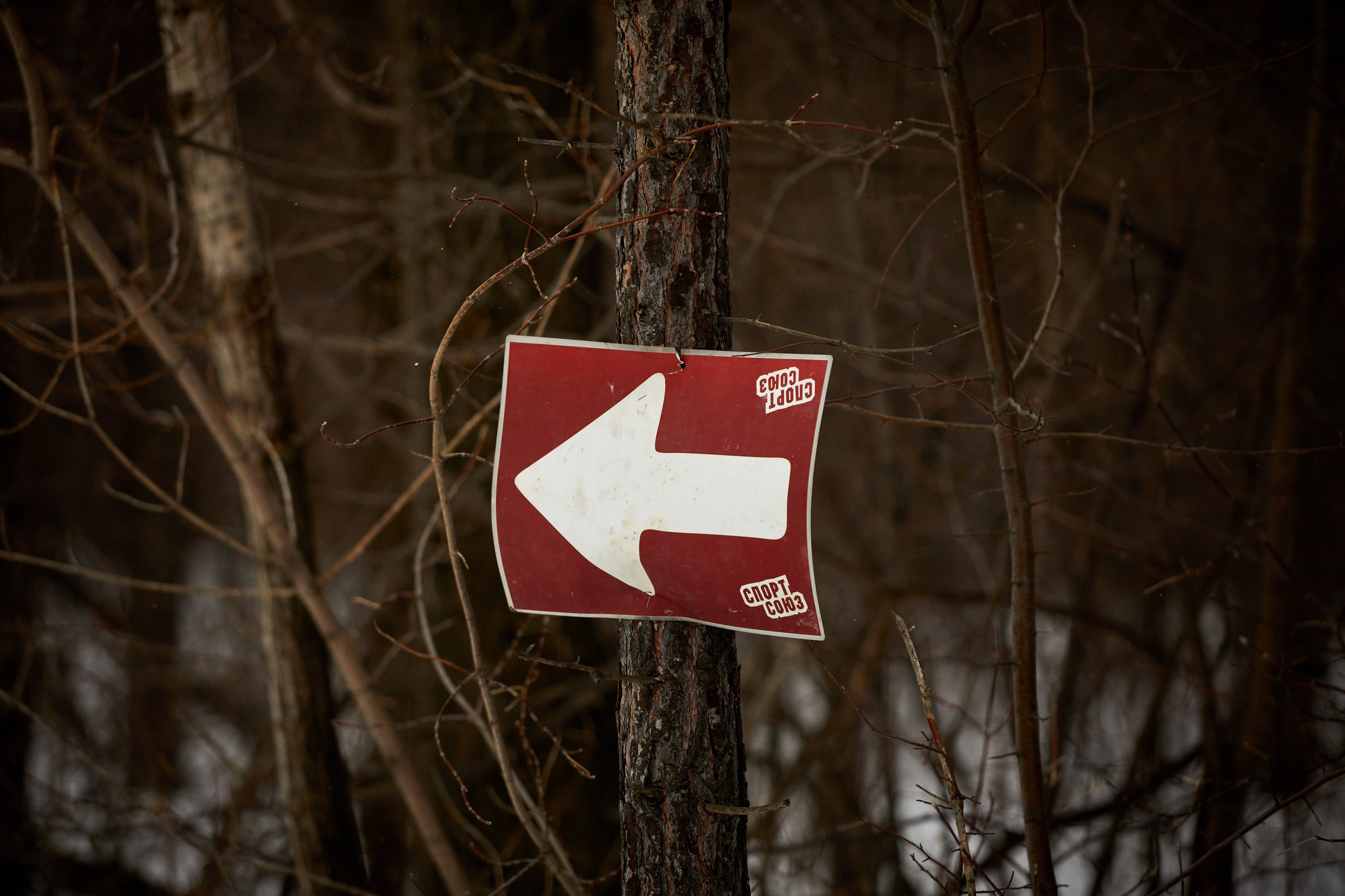 Спорт. AFL Media