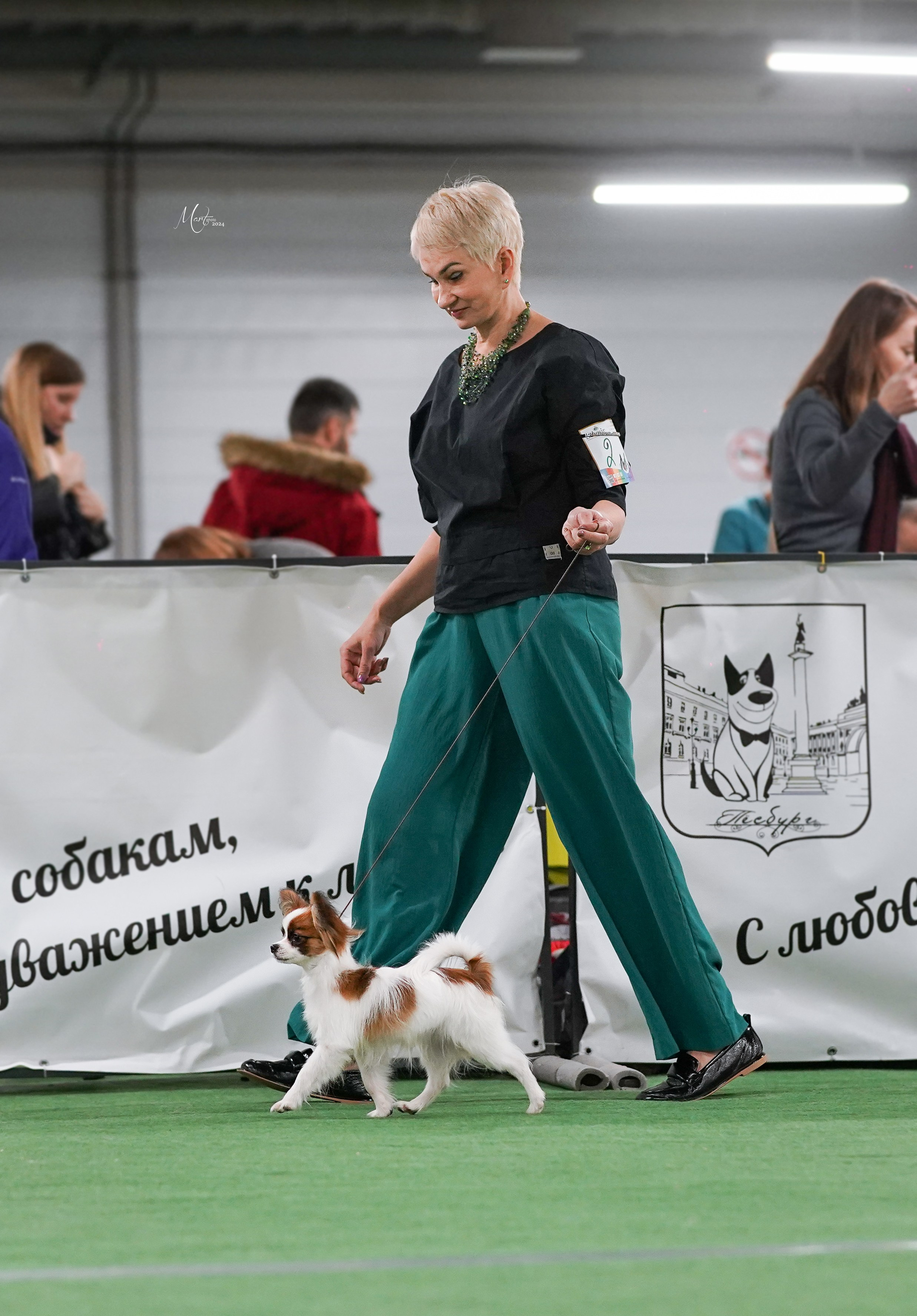 Выставки 2024. Фотограф-анималист в Санкт-Петербурге Яна Мартынова