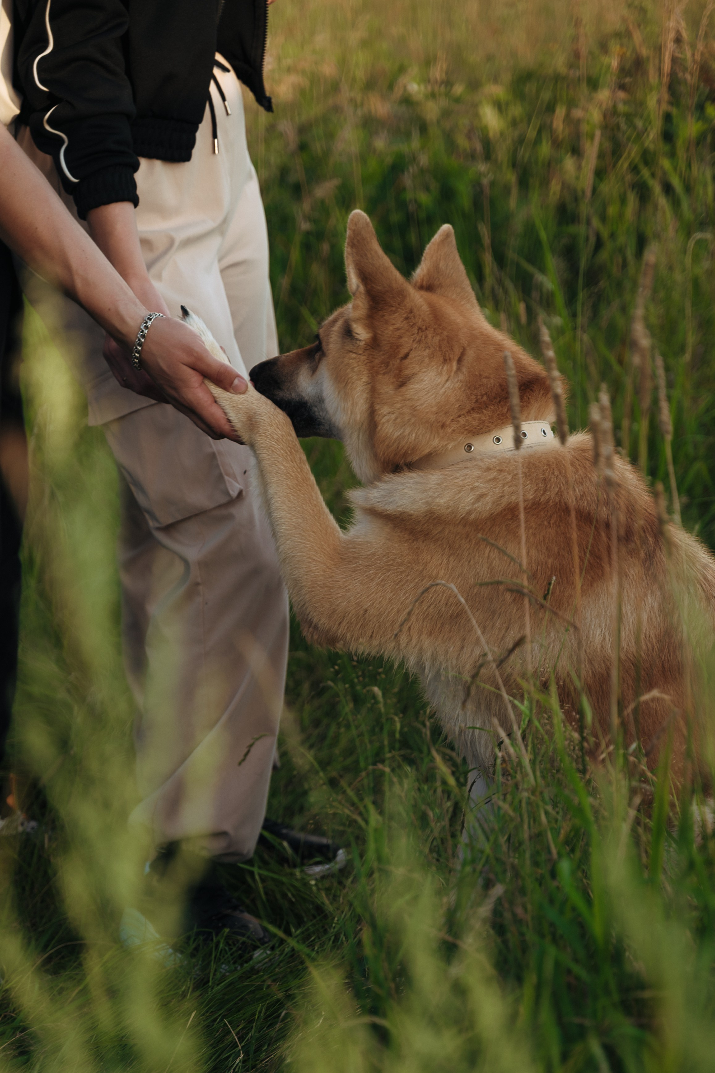Фотосессия с собакой Екатеринбург. Портретный и семейный фотограф в Екатеринбурге Мария Чахеева