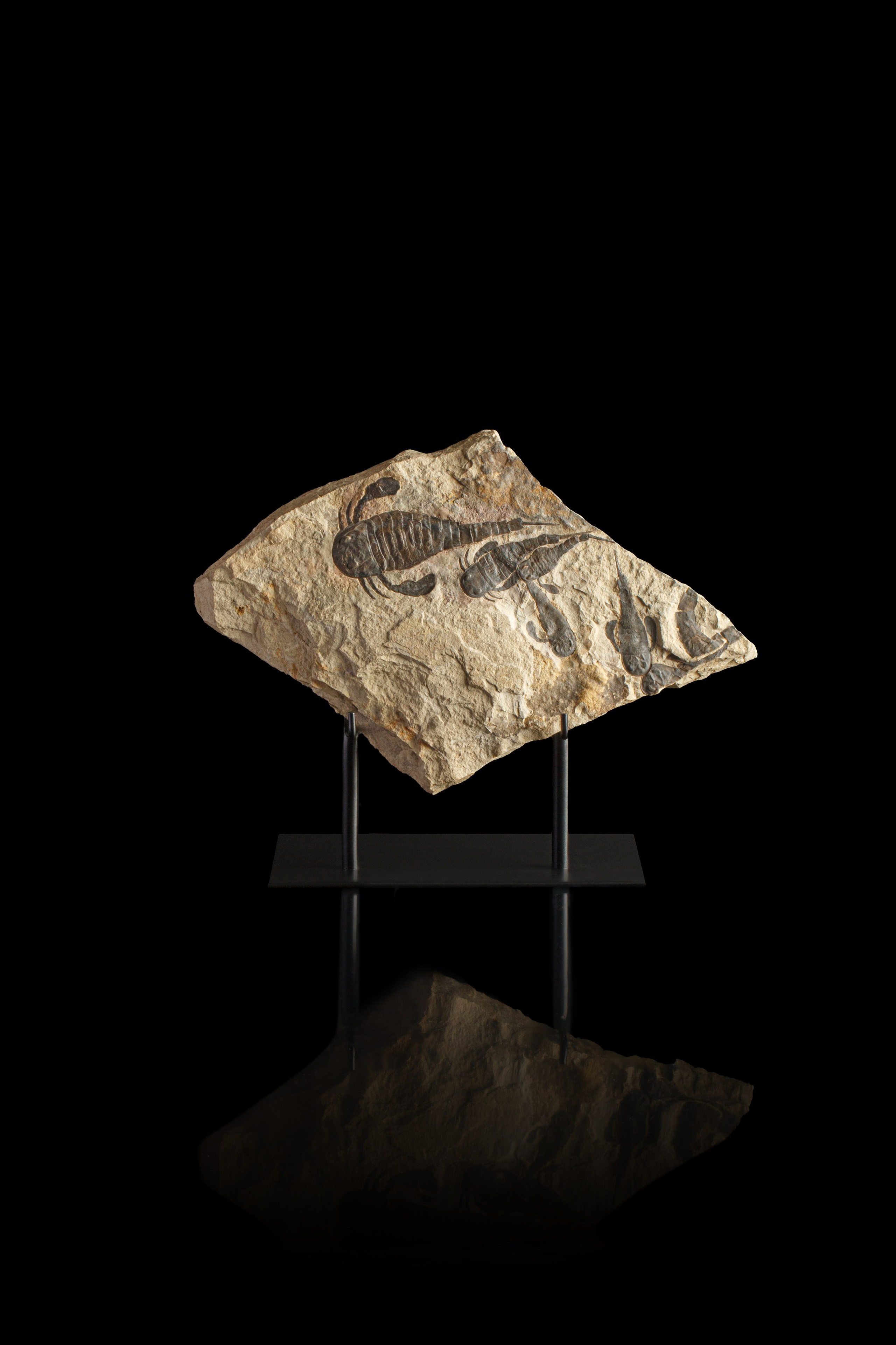 Профессиональная обработка натуральных камней, минералов и ископаемых | Студия SVITHART