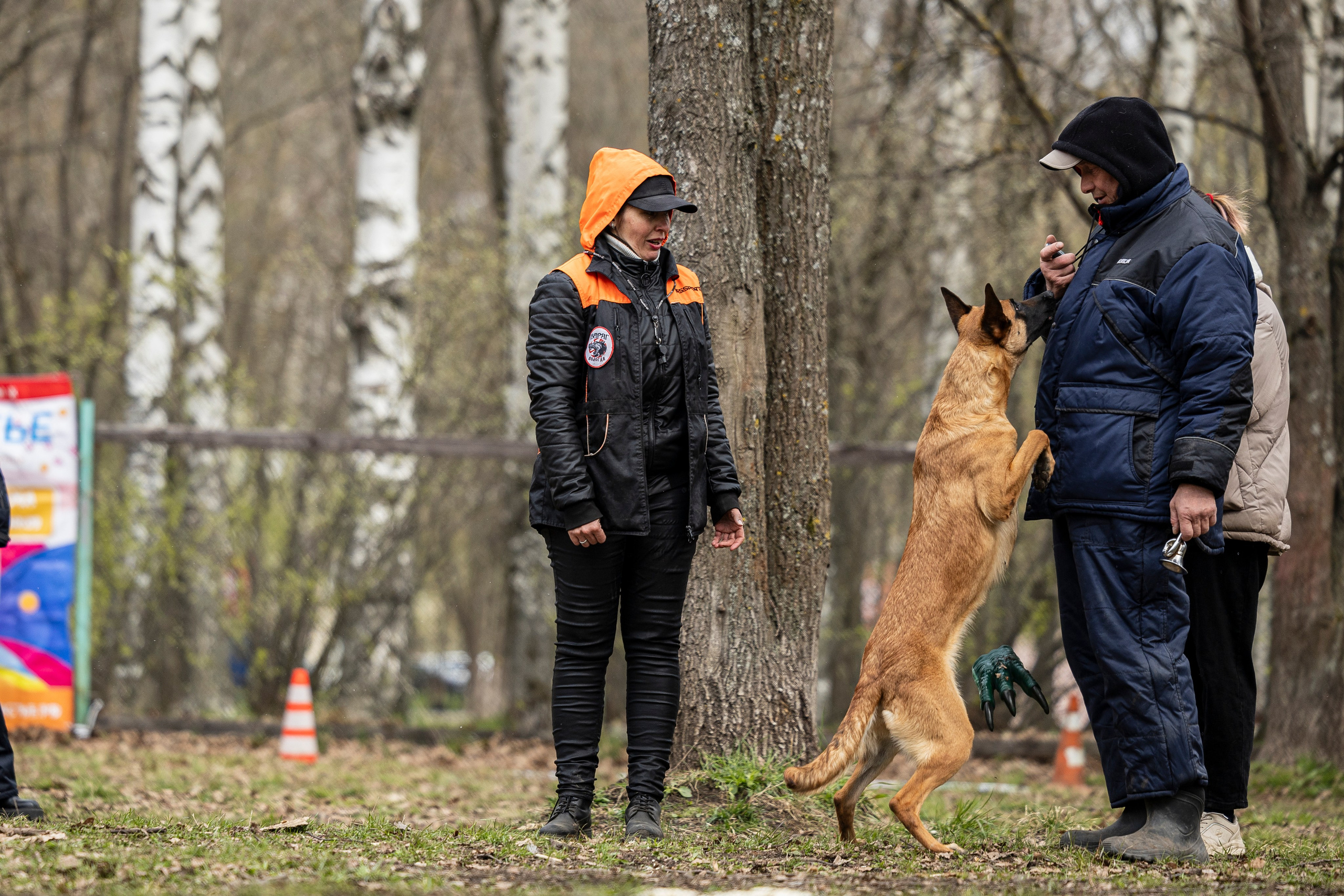 Квалификационные состязания по мондьорингу г. Вологда 11.05.24. Фотограф-анималист Анна Маринич