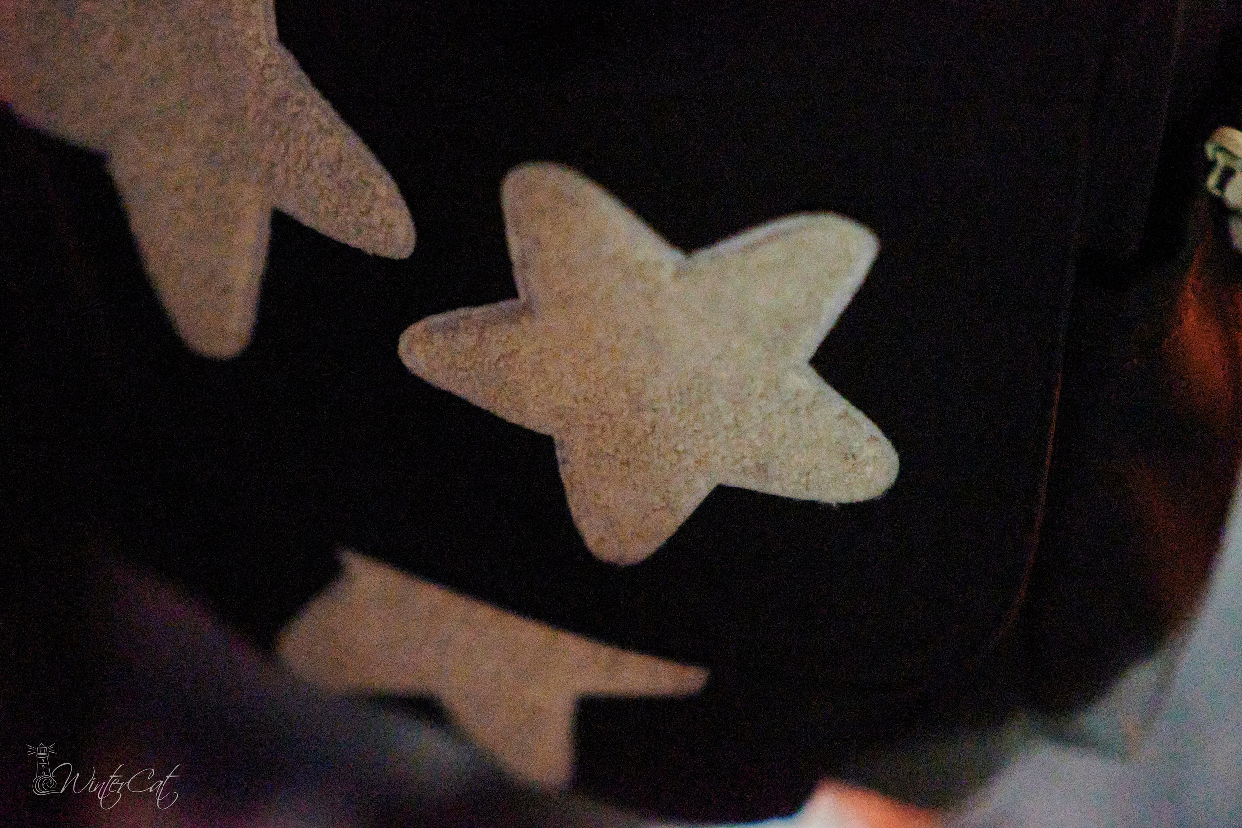 Концерт на закрытии Мотосезона. Портретный и репортажный фотограф в Магадане Андрей Нефедов WinterCatPhoto