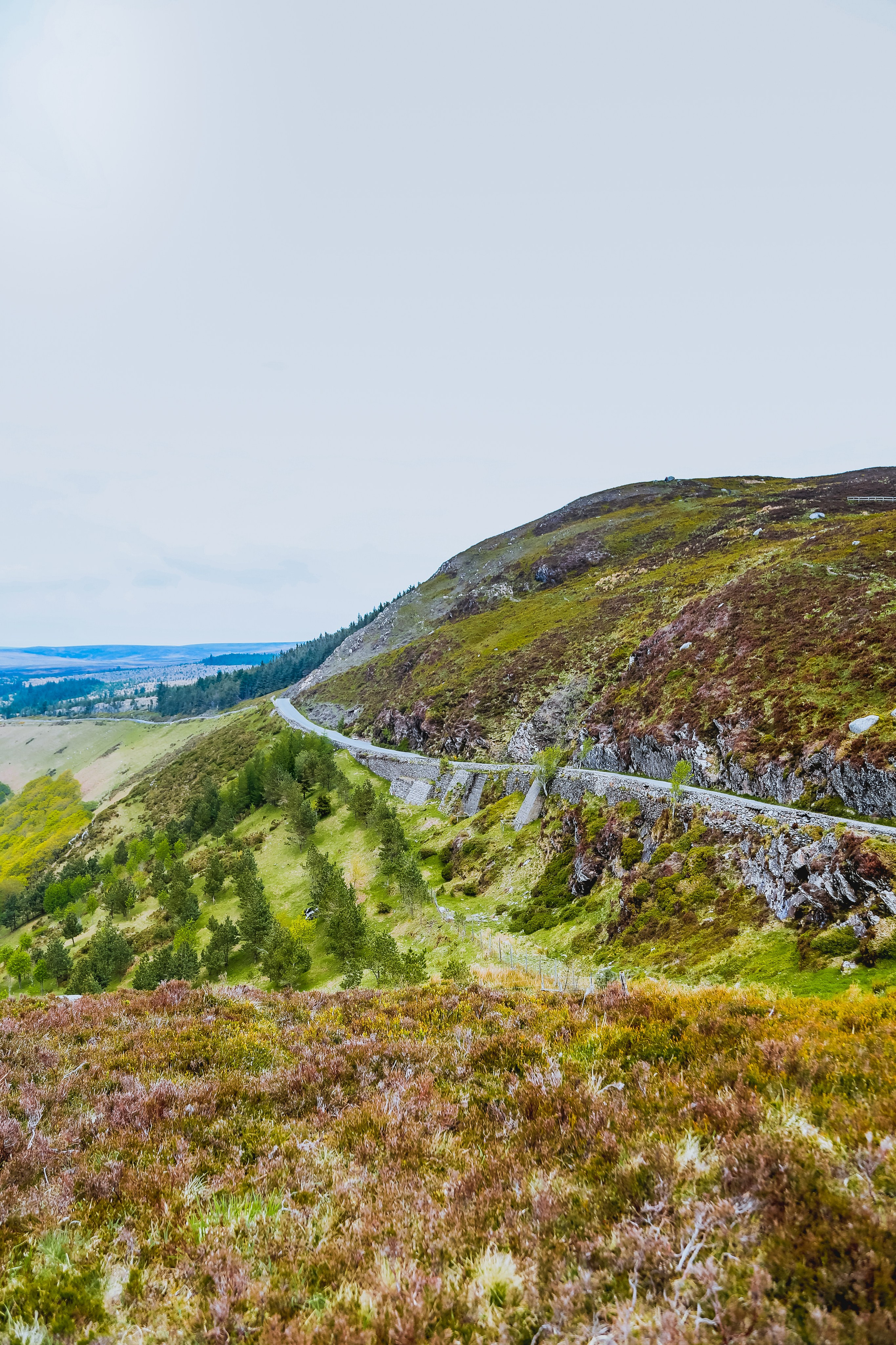 Ирландия: Горы Уиклоу. Дарья Письменюк / Darya Leitstern — фотограф, музыкант, журналист, путешественник