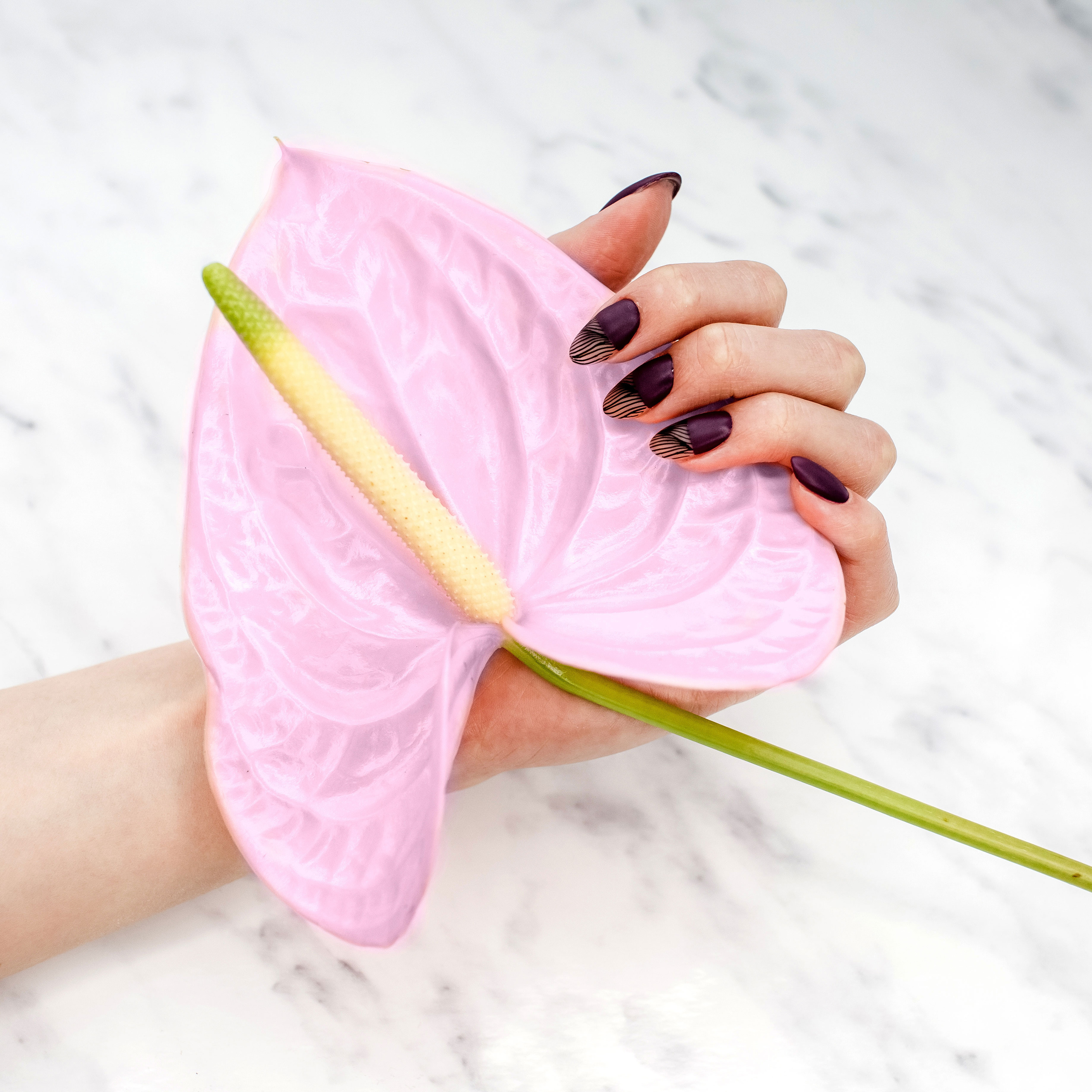 Мастер маникюра @jeneva.vrn. Портретный и свадебный фотограф в Воронеже Елена Михайлова