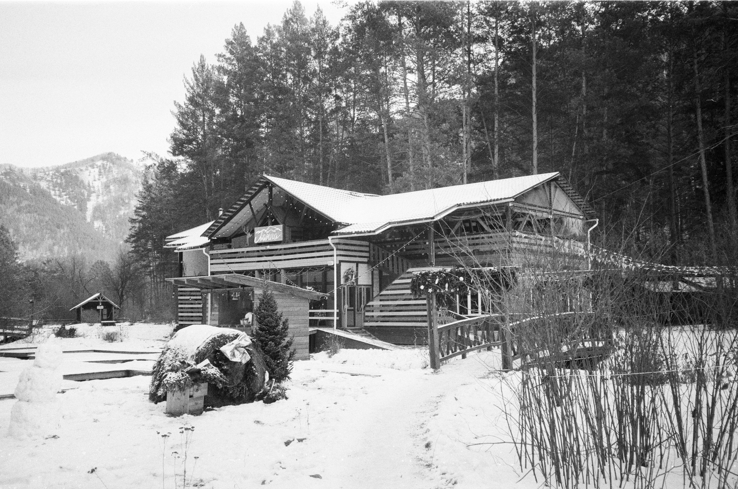 Olympus AF-10 SUPER / Ilford PAN 400 / Алтай, зима 2023 год