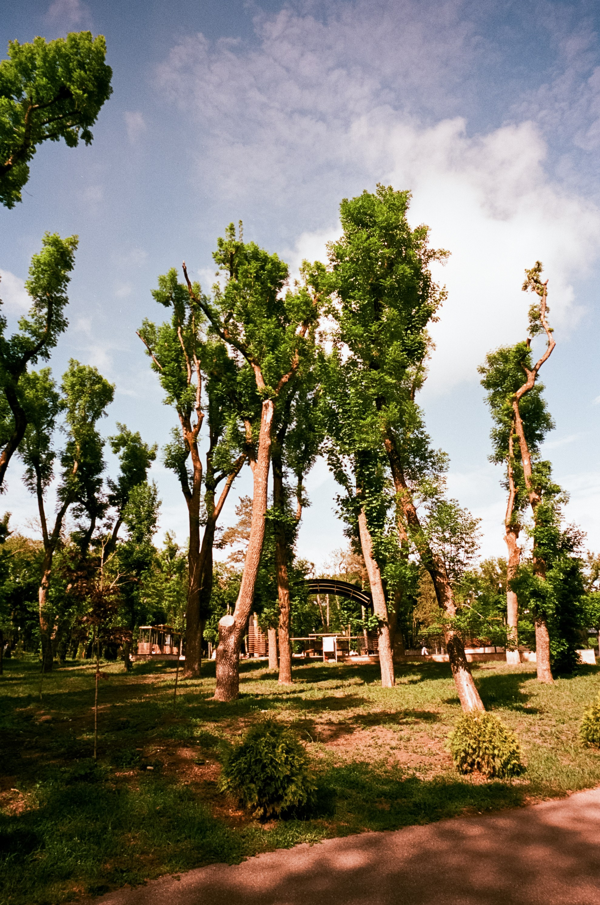 6 мая Парк Ессентуки / Voigtlander BESSA-T / Kodak Aerocolor IV