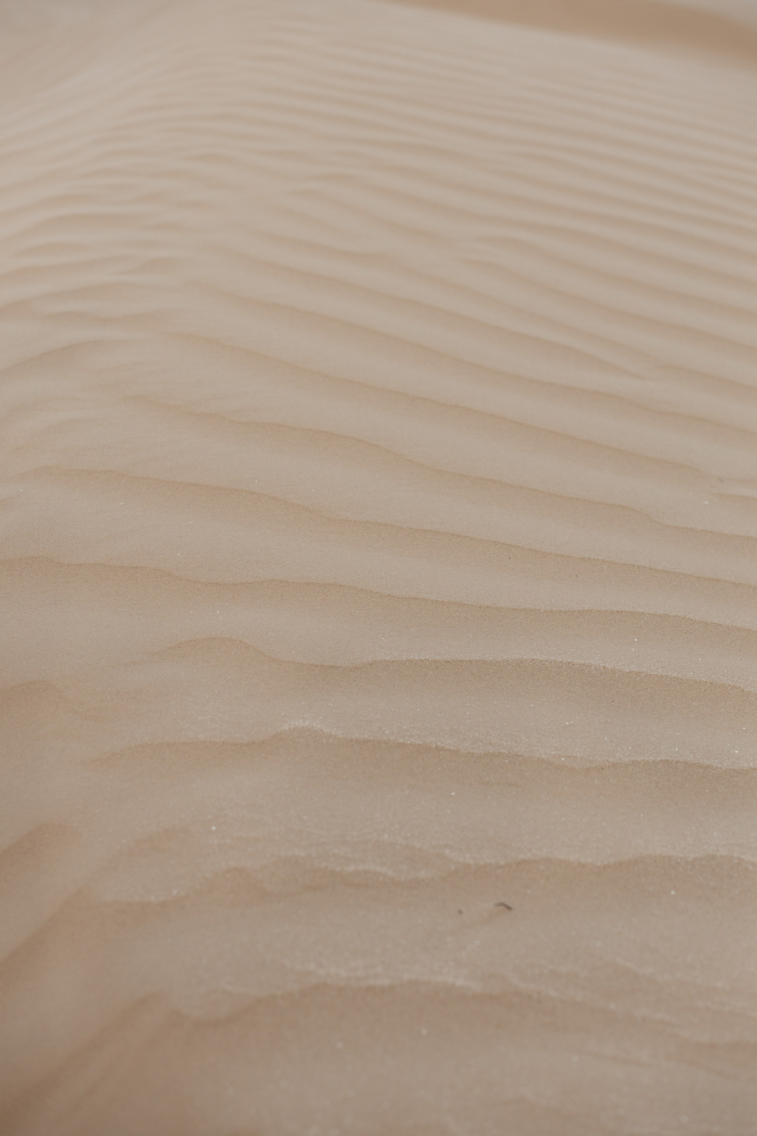 Love story Qum. Медет Абдусалам Свадебный фотограф в Атырау