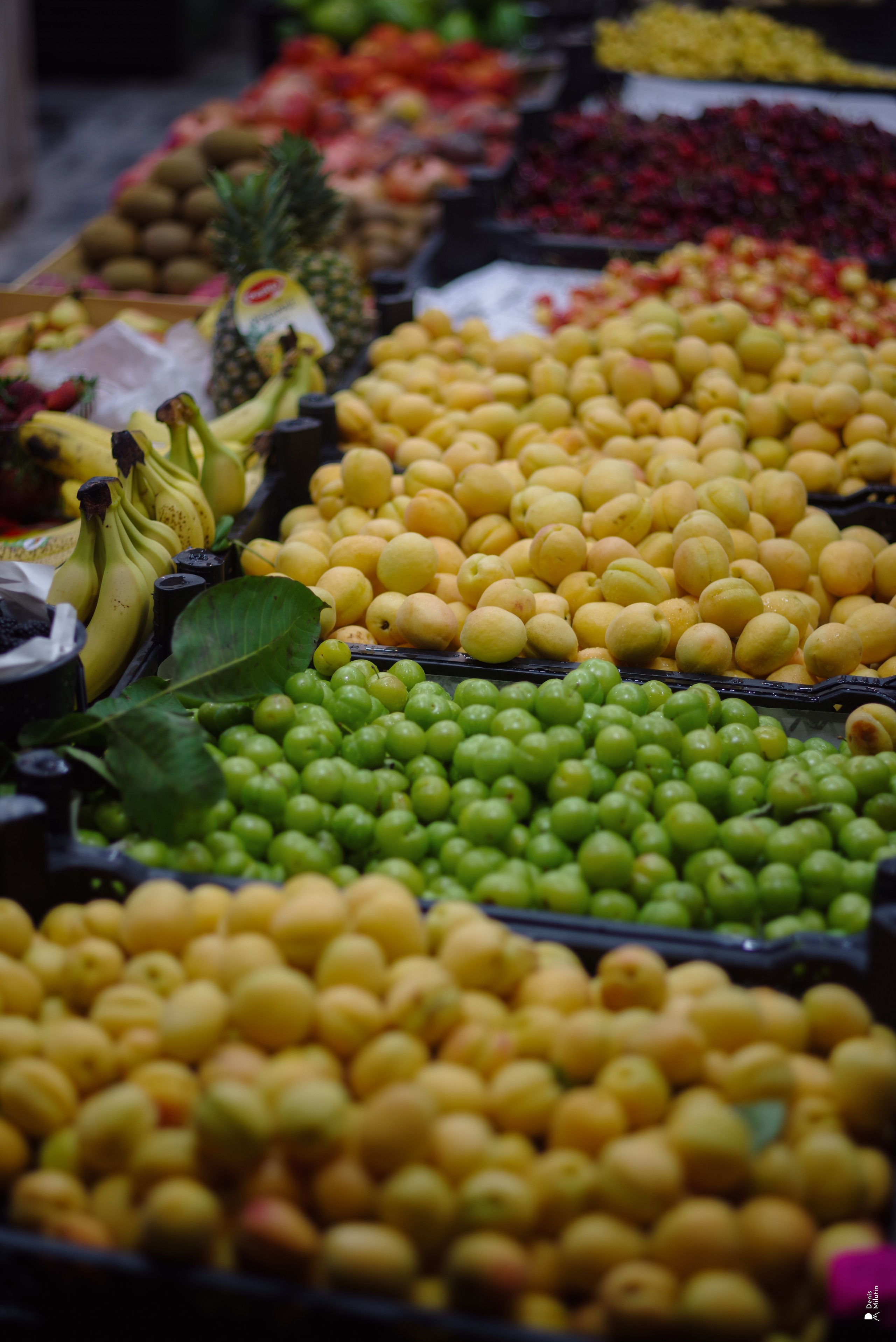 В отпуске с Артёмом. Портретный фотограф Денис Милютин