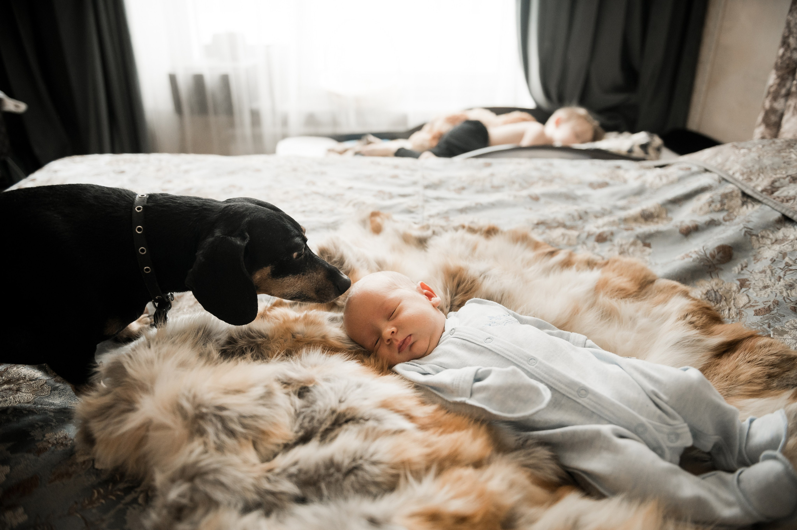 Антон, Владлена +2 :). Фотограф Егоров Констанин