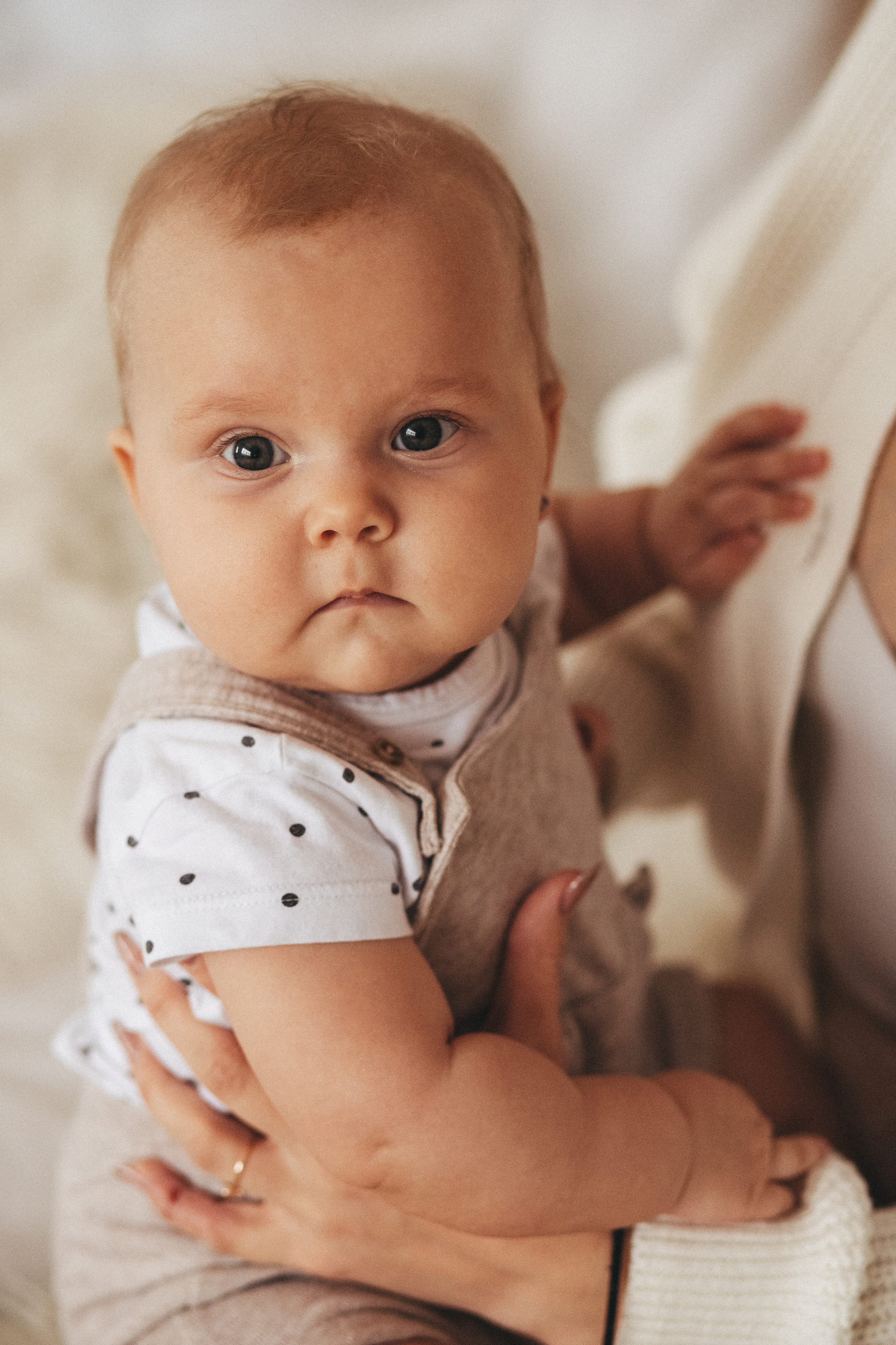 СЕМЕЙНАЯ СЪЁМКА В СТУДИИ. Семейный фотограф Ирис Сенченко