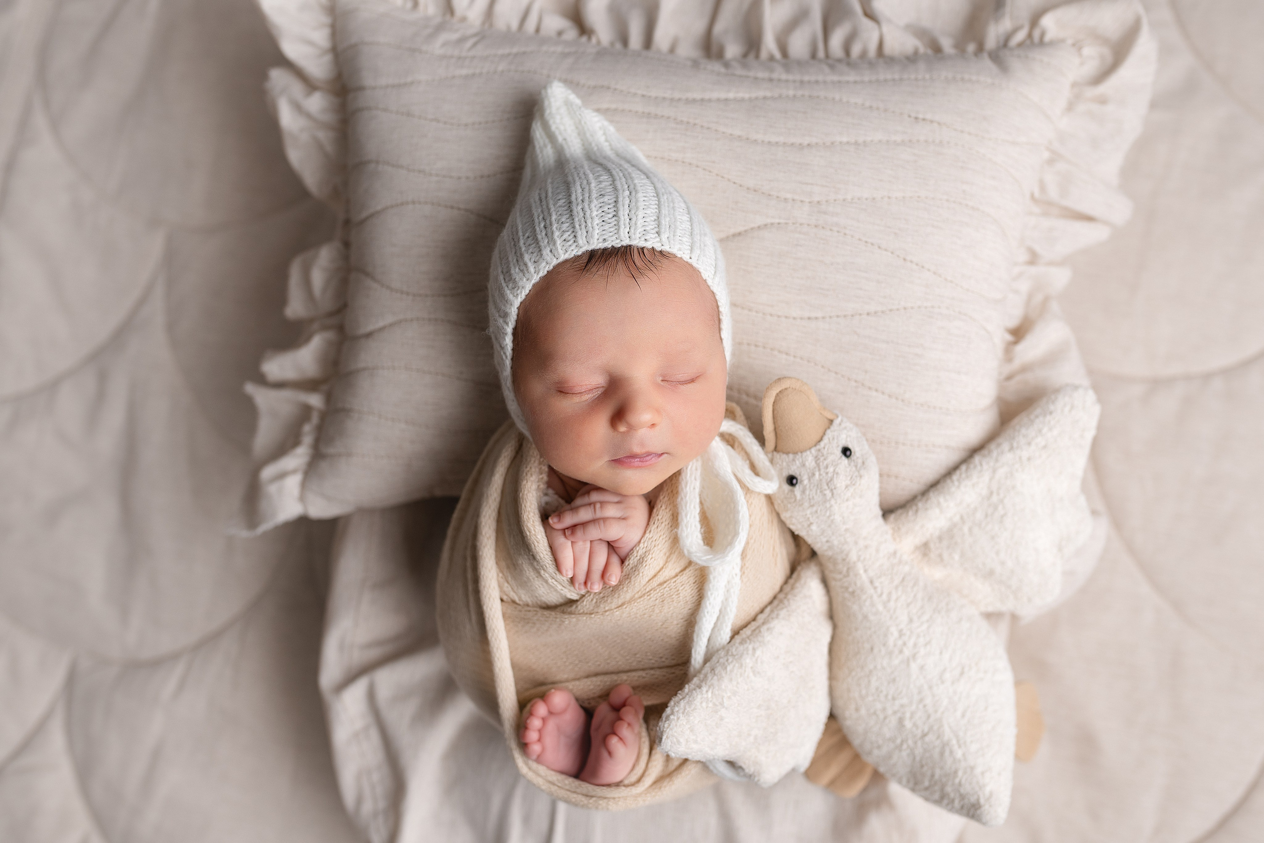 Фотограф новорожденных анна порфирьева москва московская область