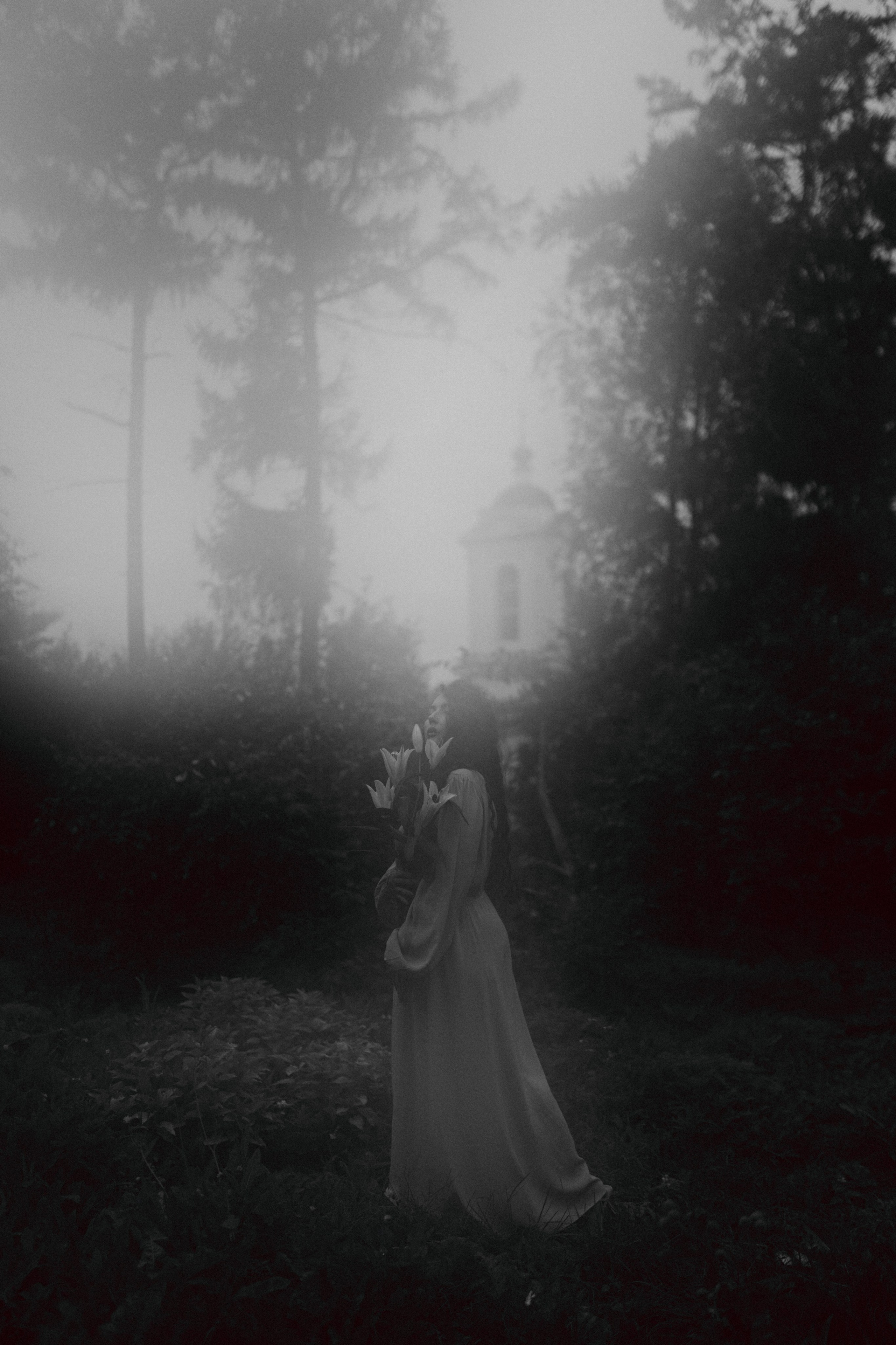 Фотографии. Фотограф Иркутск