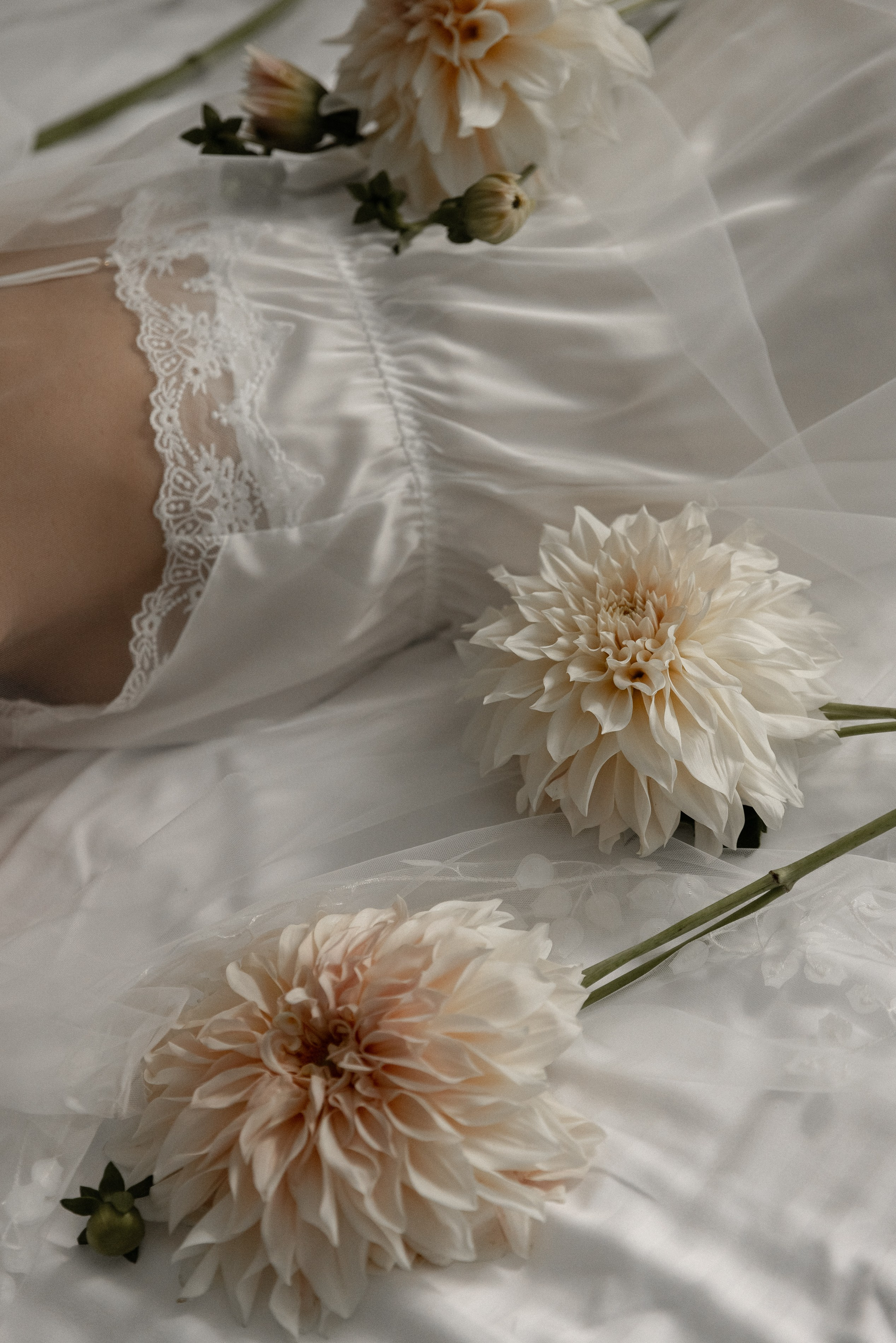 Георгины. Свадебный фотограф Ярославль, Рыбинск